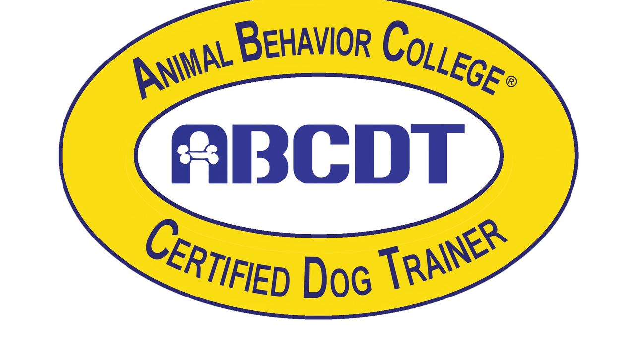 Happy Family Pets LLC New Castle