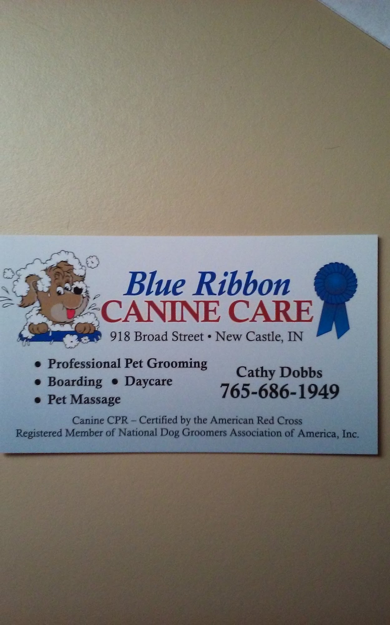 Blue Ribbon Canine Care New Castle