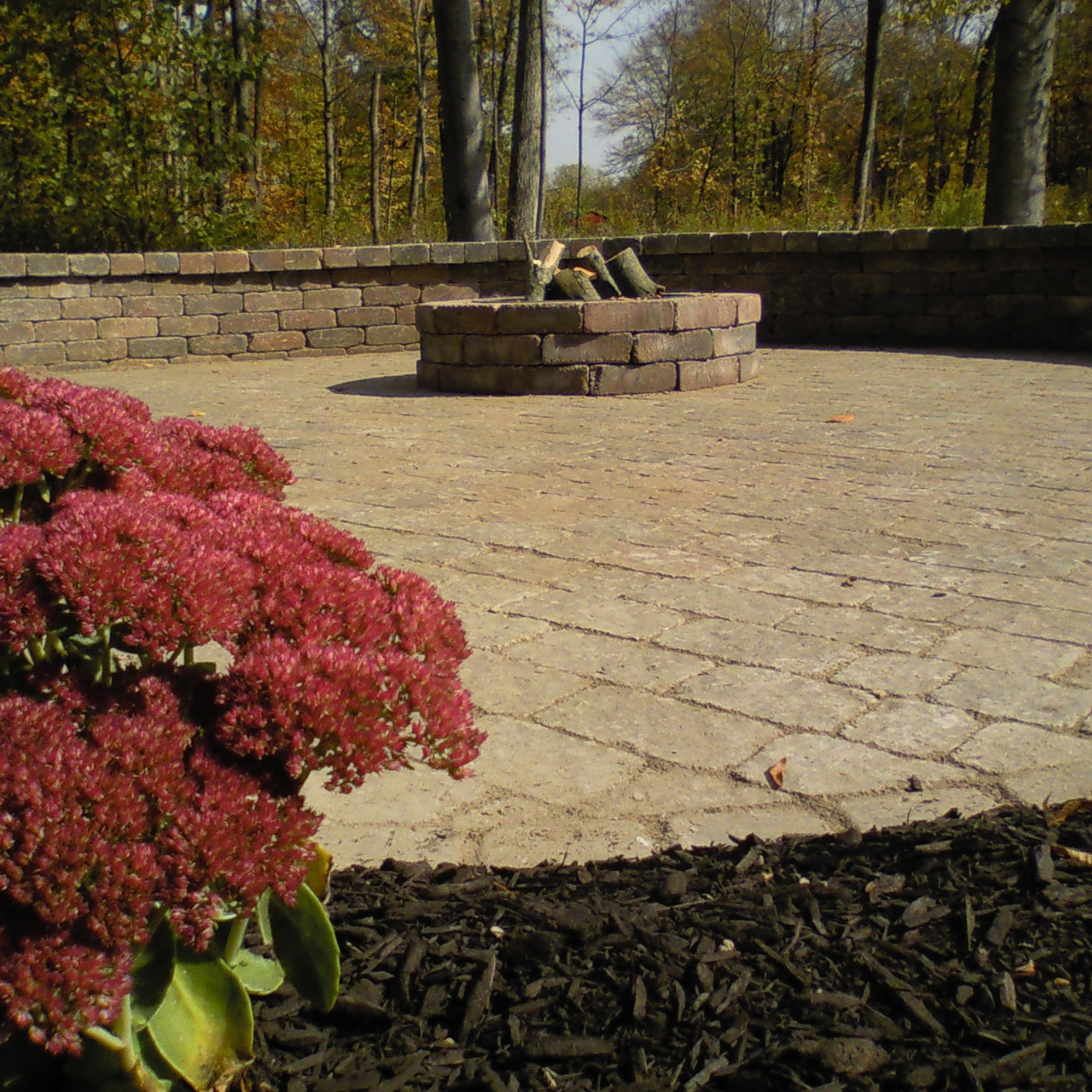Ross Lawns & Landscaping
