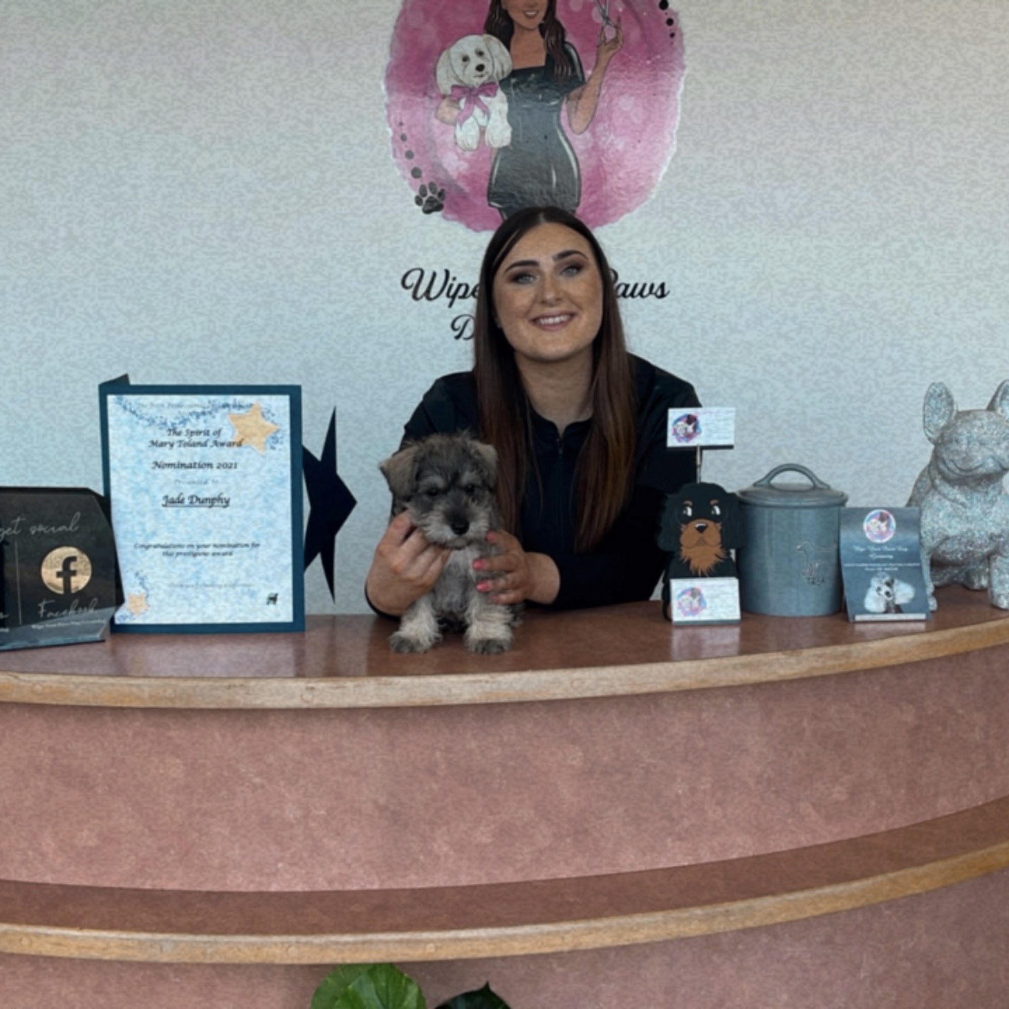 Wipe Your Paws Dog Grooming New Ross New Ross