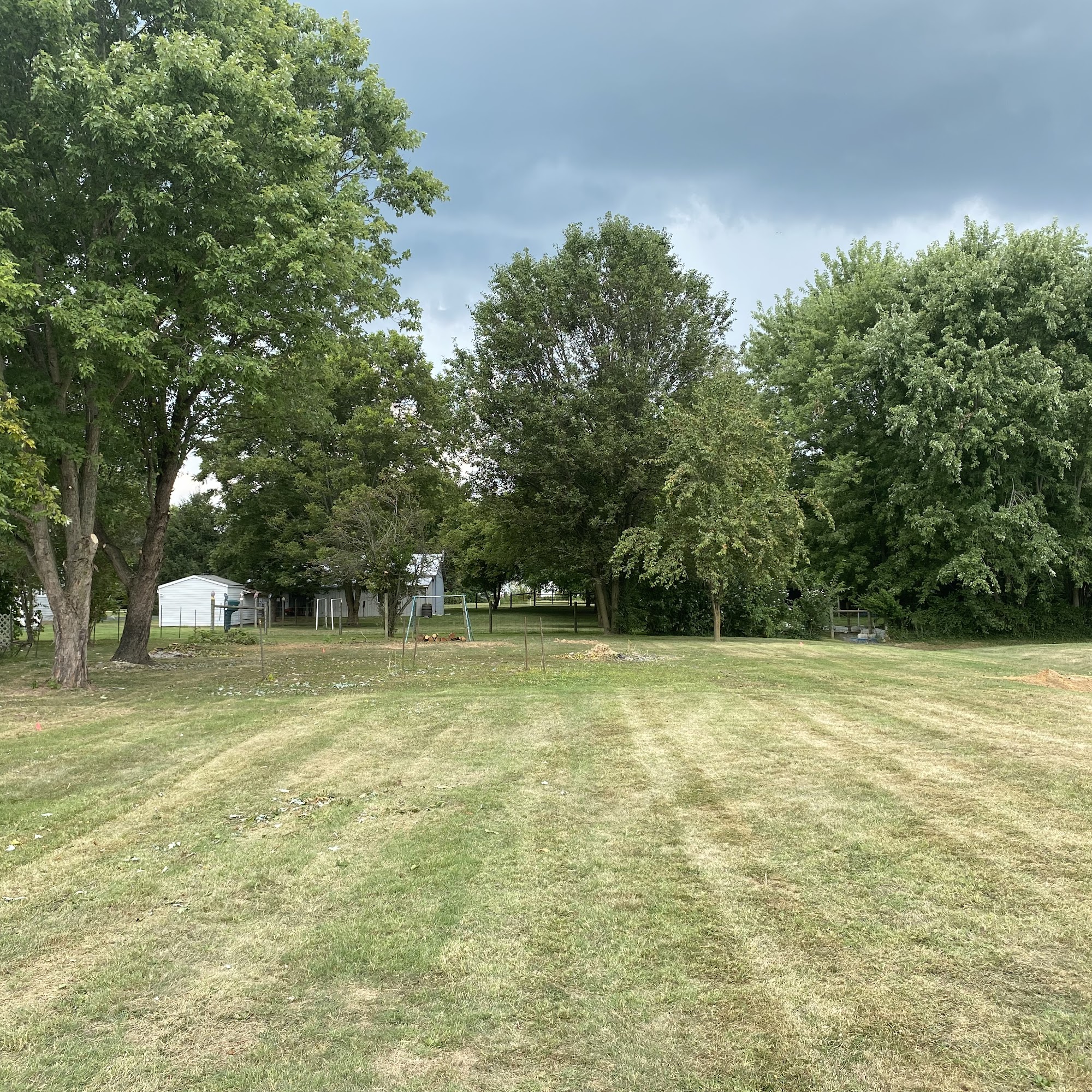 David & Son Tree Services New Washington