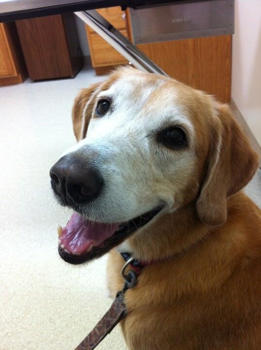 Warrick Veterinary Clinic Preventative Care Center Newburgh