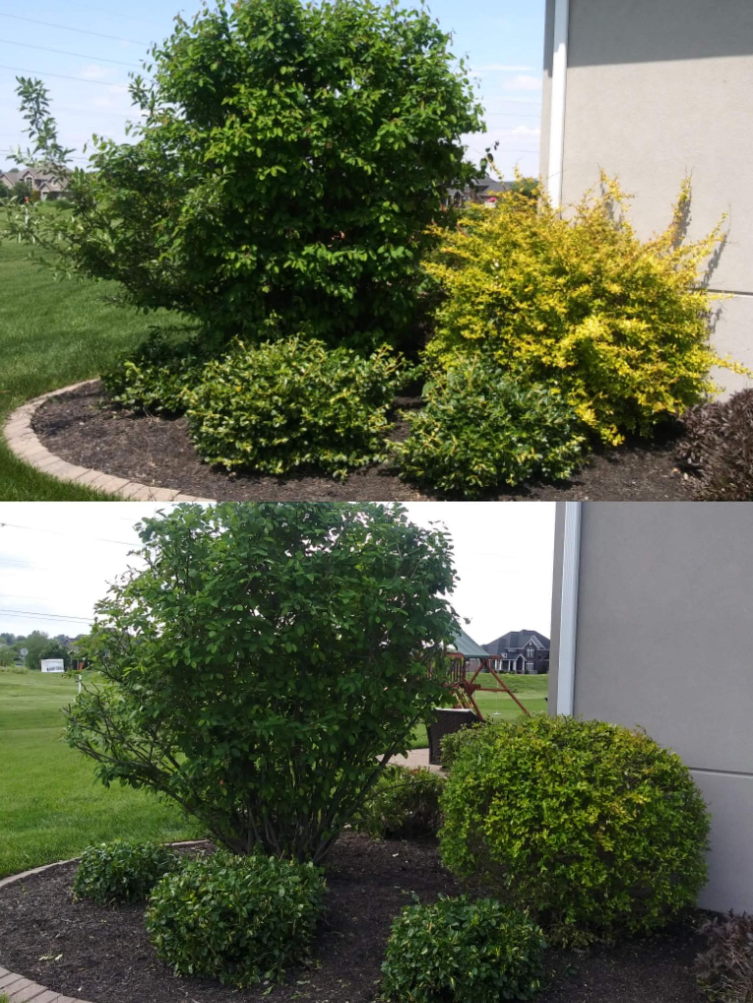 Turf Trimmers Lawn Care and Landscaping