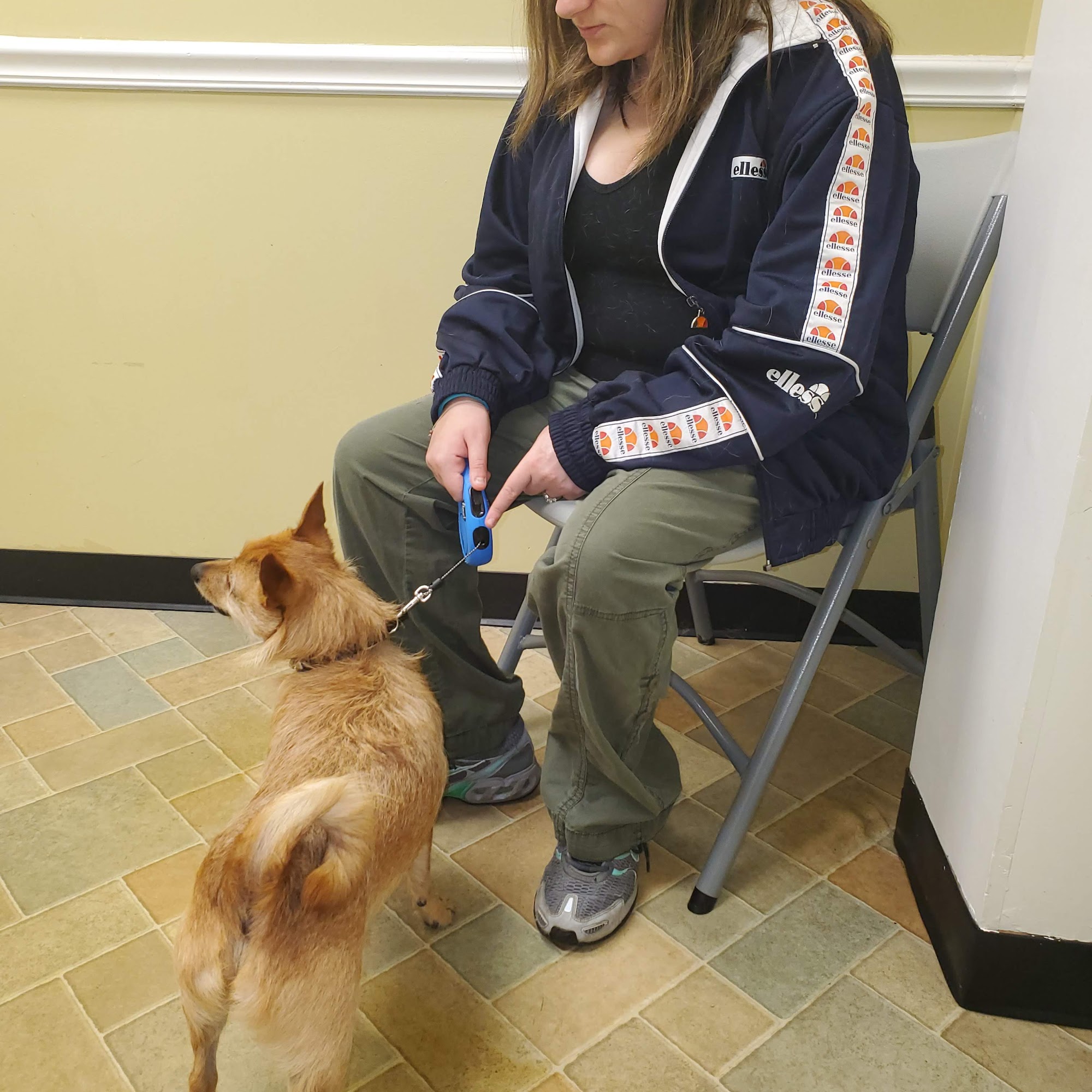 VIP Animal Care Noblesville