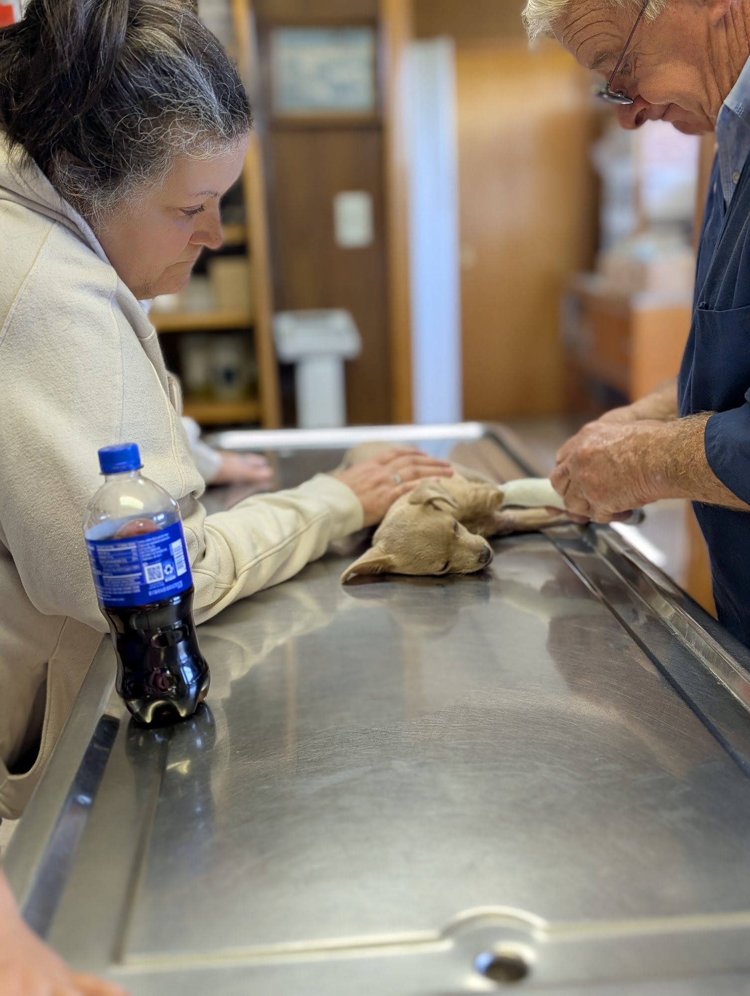 Odon Veterinary Clinic Inc Odon