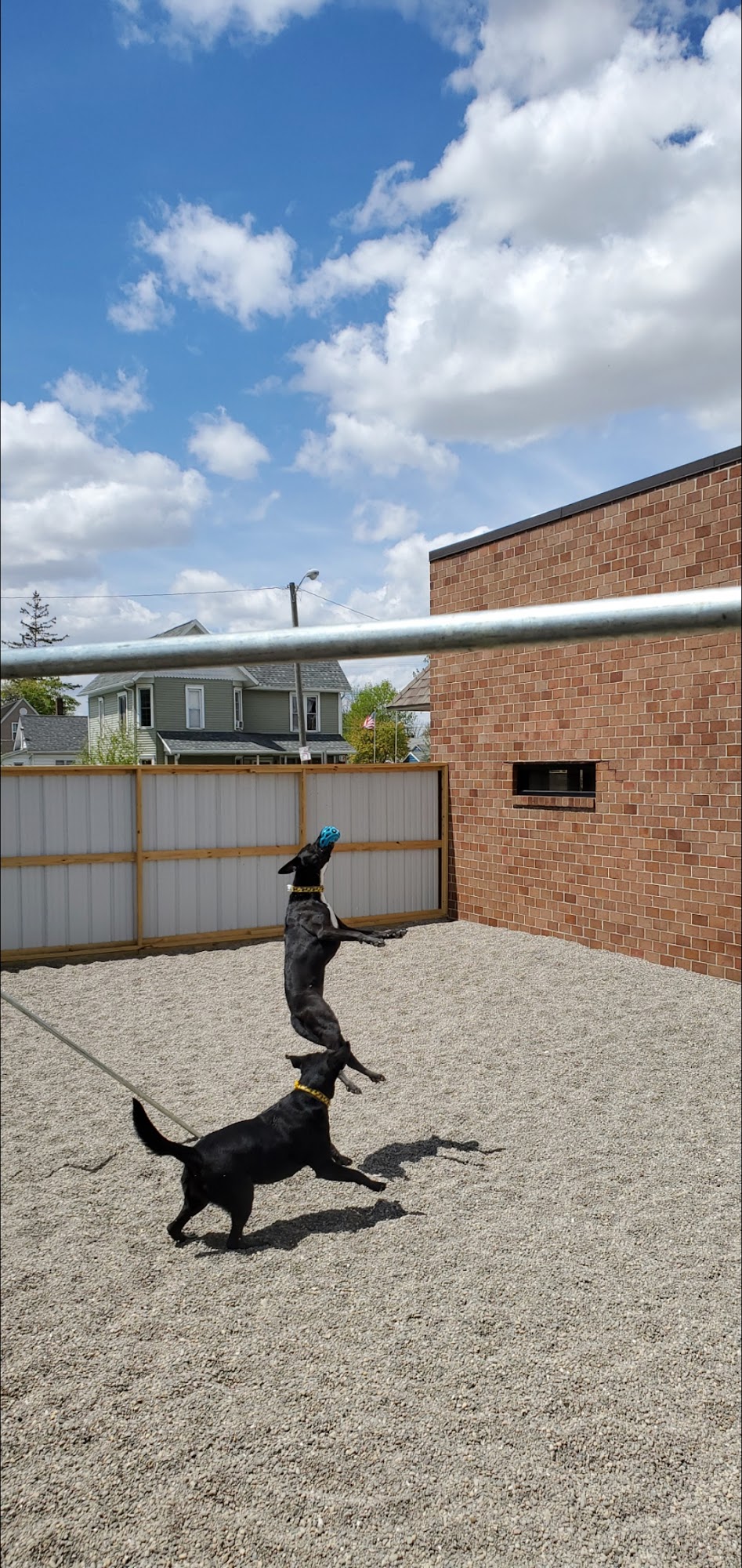 Best Friends Pet Grooming, Boarding, & Daycare Ossian