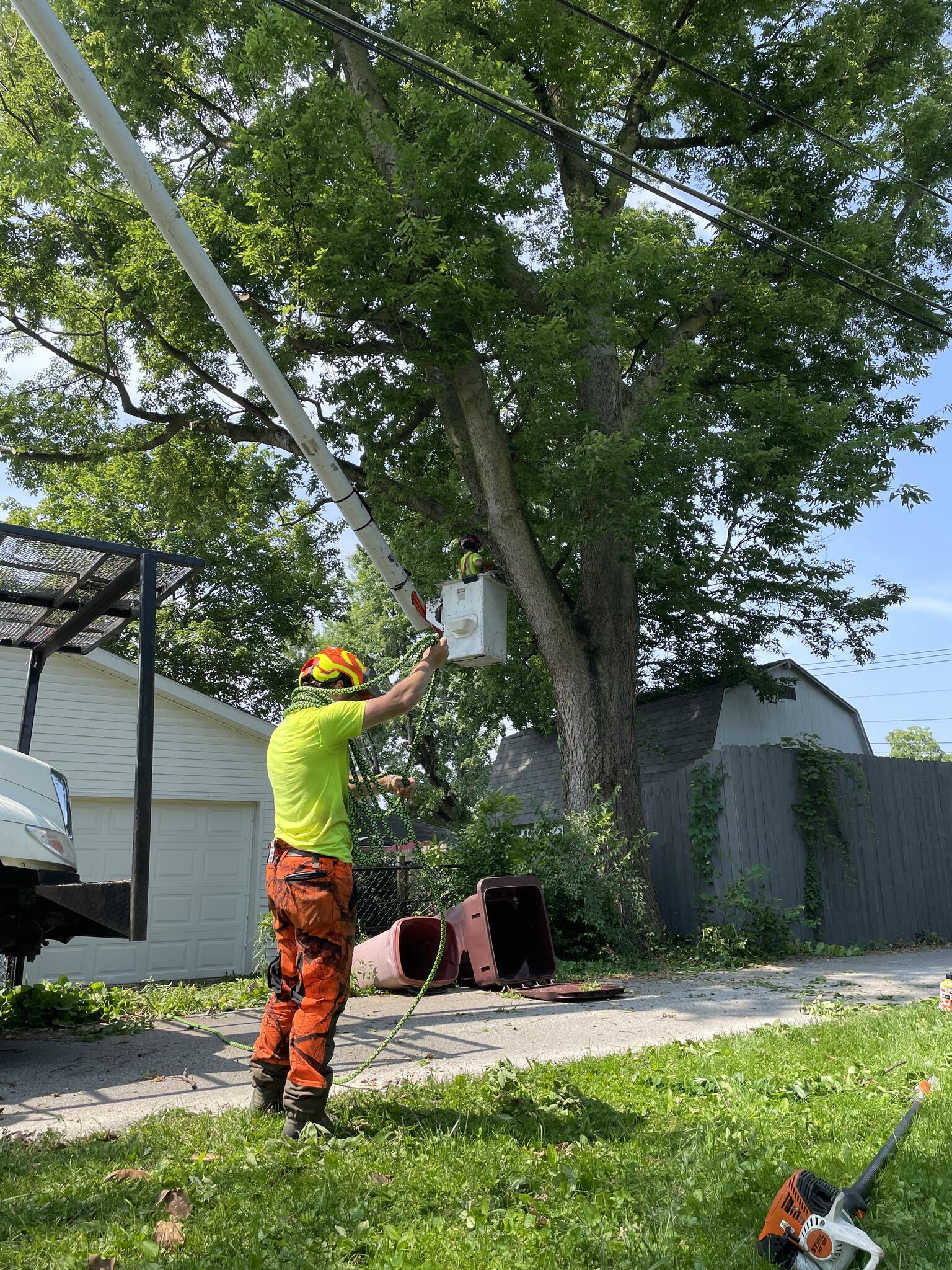 Photo credit: nextdoor
