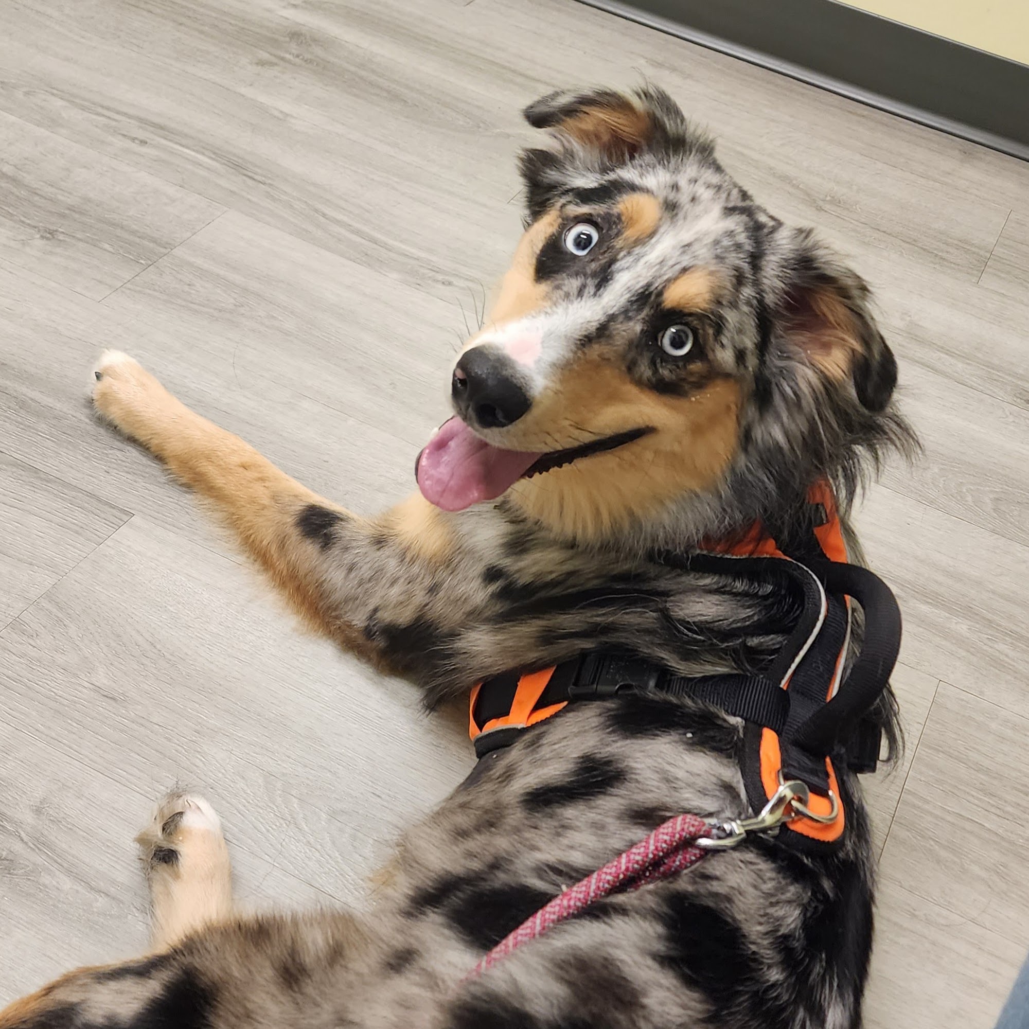 Miami County Veterinary Clinic Peru