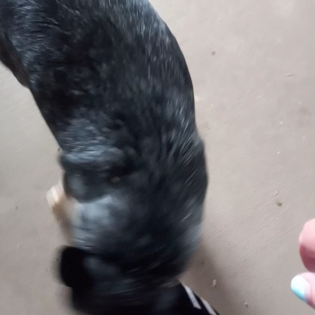 McClure's Orchard/Winery Menu