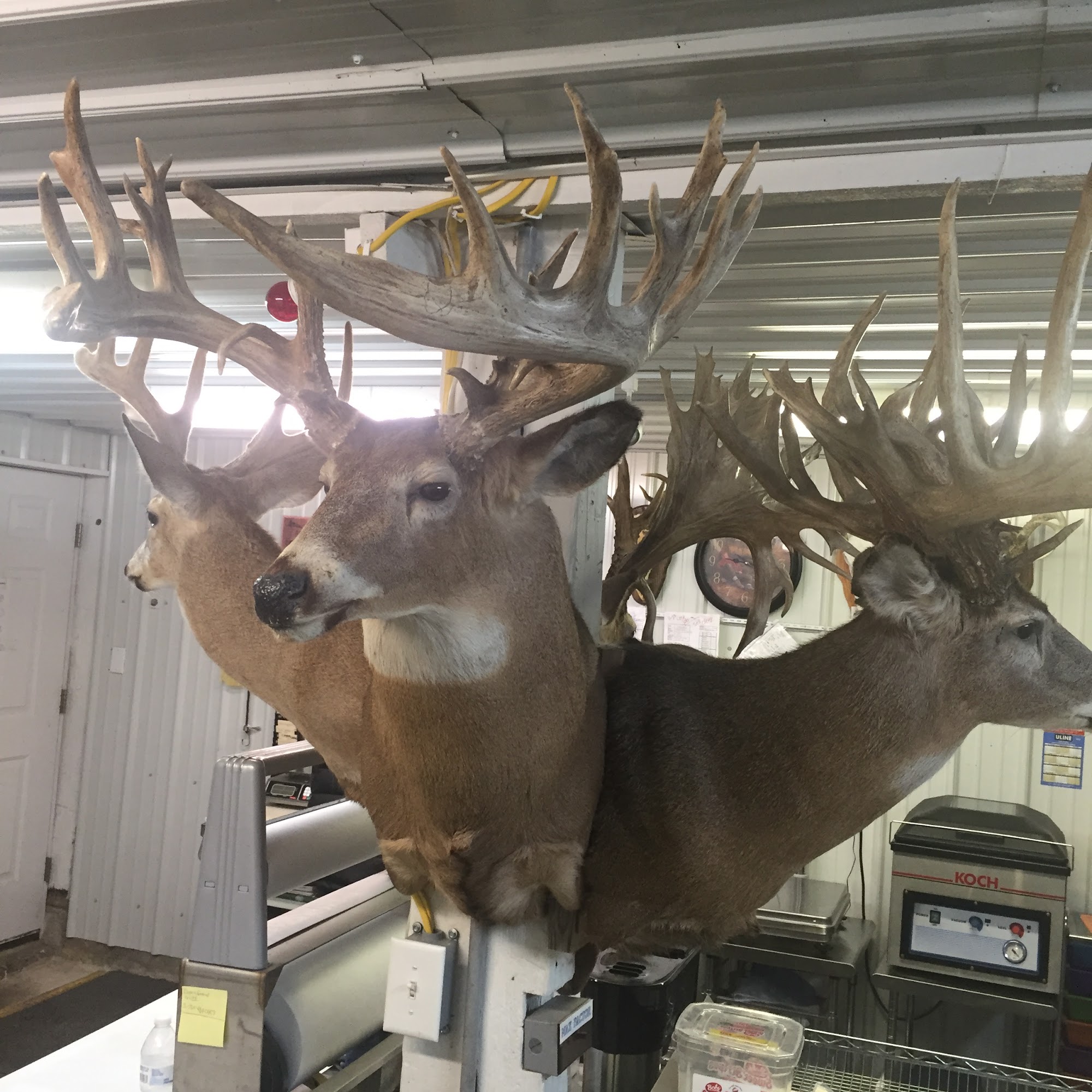 Holland's Deer Processing LLC Peru