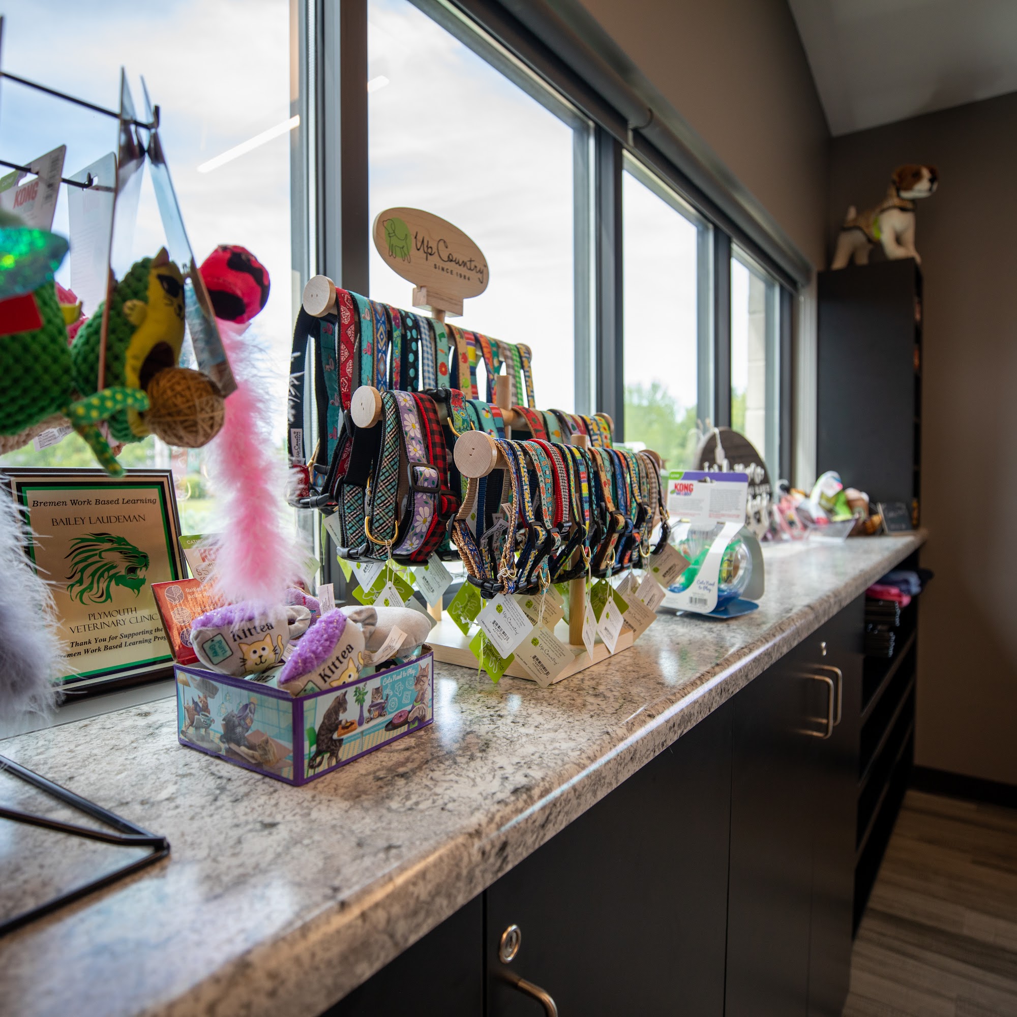 Plymouth Veterinary Clinic Plymouth