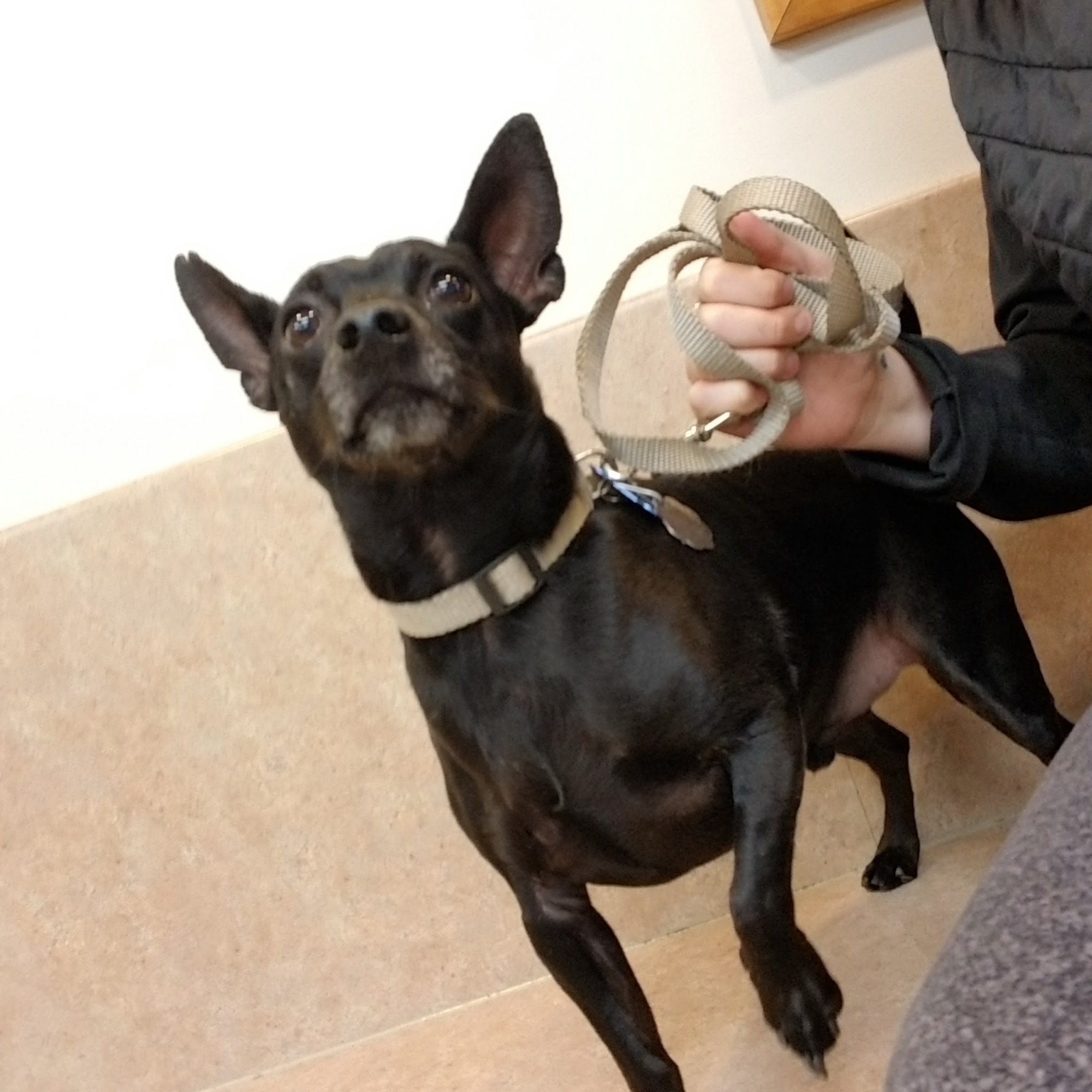 West Central Veterinary Services - Rockville Rockville