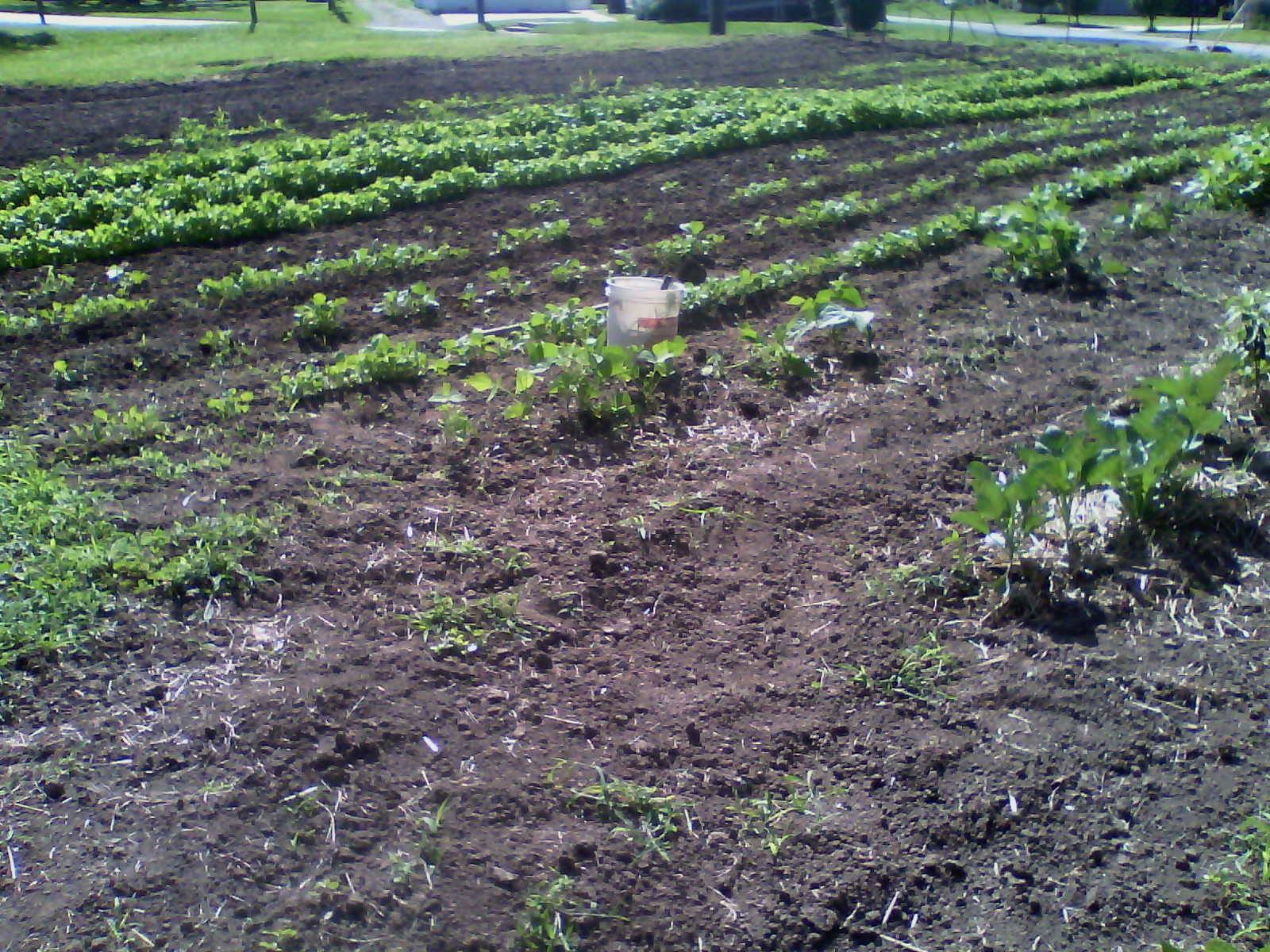 Easley's Farms & Nursery Rushville