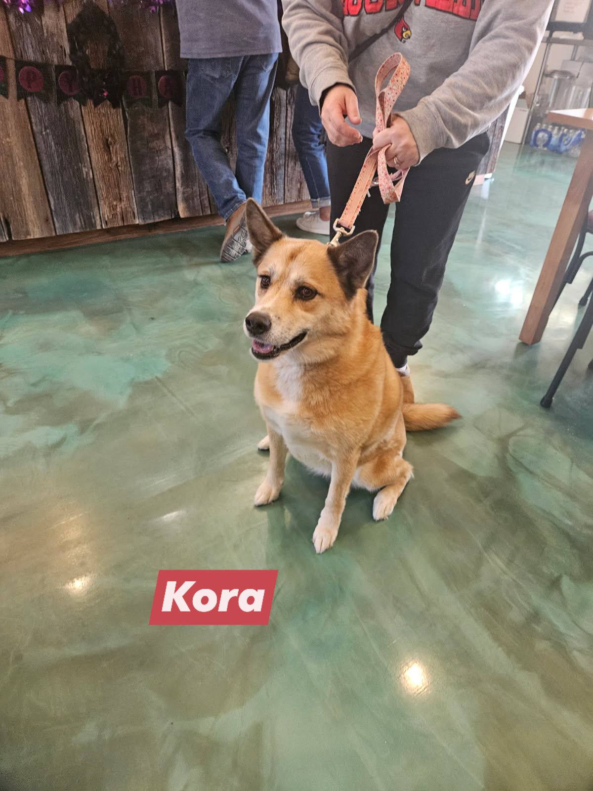 Hunter's Ridge Winery Salem