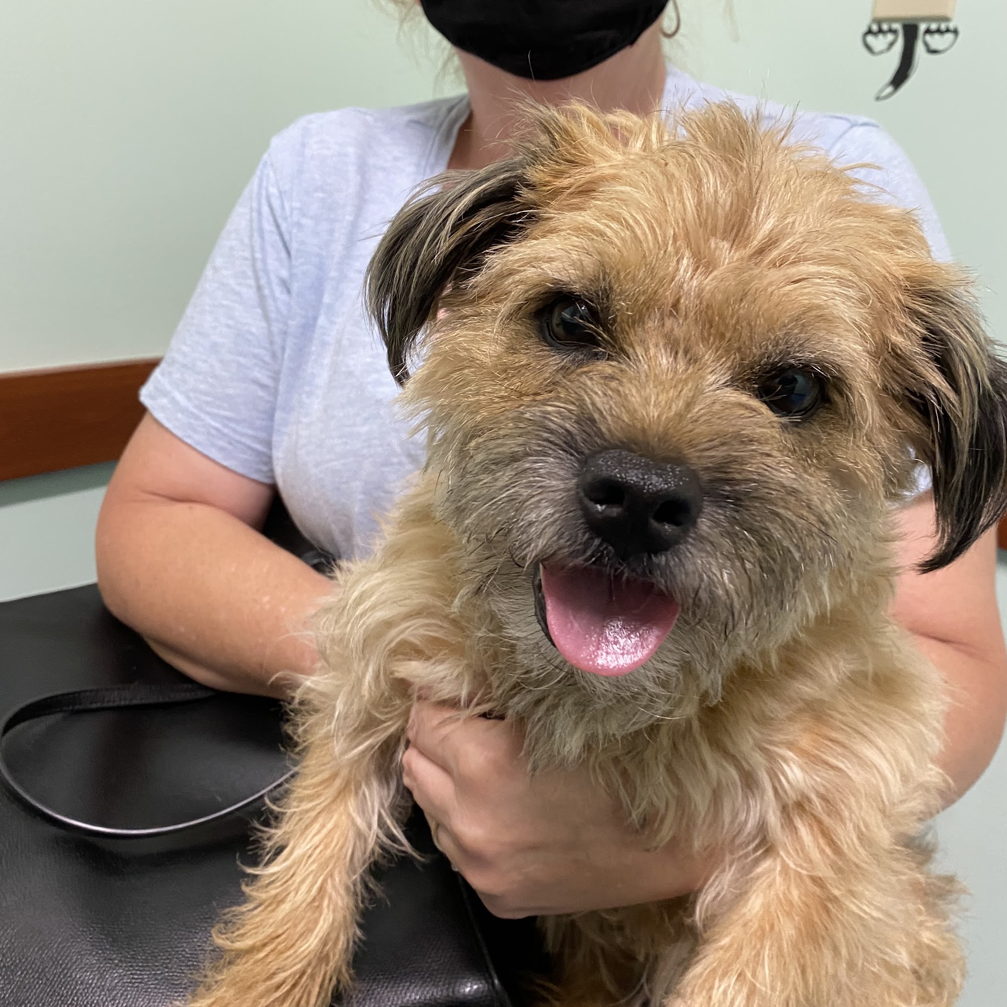 Care-Pets Animal Hospital & Wellness Center Sellersburg