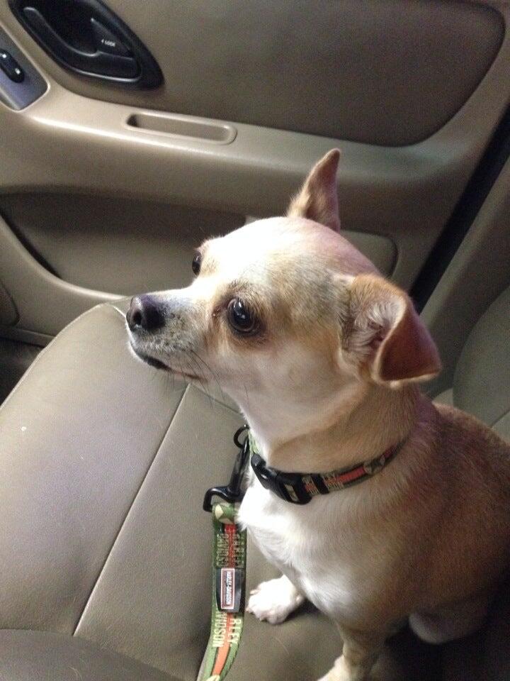 Photo credit: nextdoor