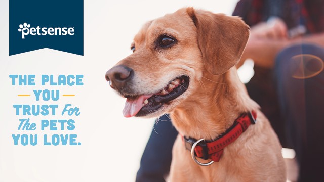 Petsense by Tractor Supply Seymour