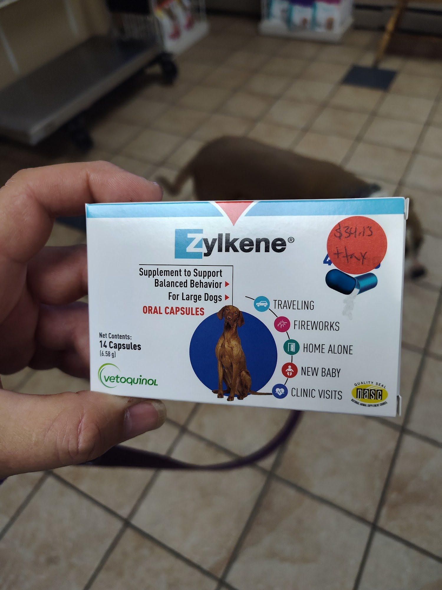 Silver Lake Small Animal Veterinary Clinic Silver Lake