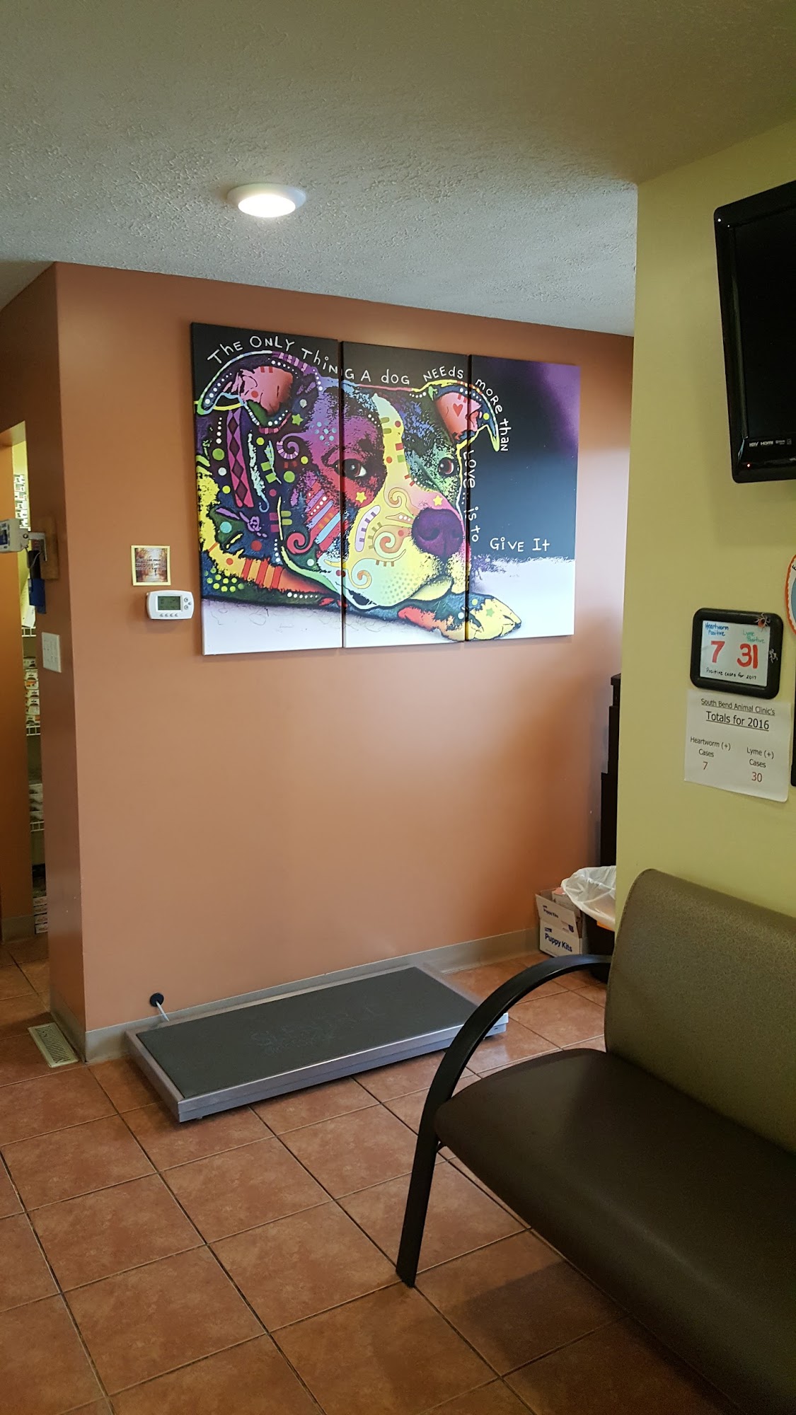 South Bend Animal Clinic South Bend