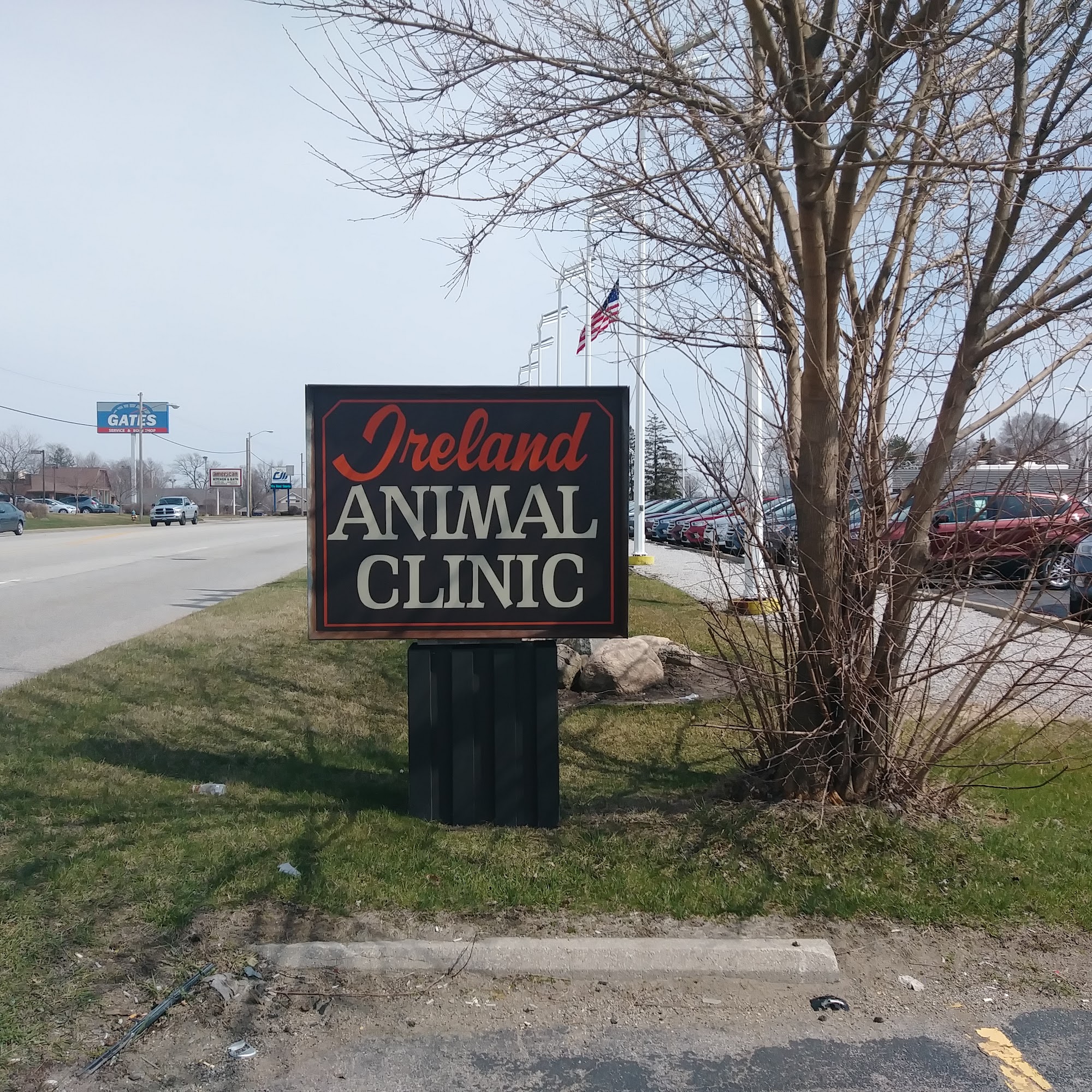 Ireland Animal Clinic LLC South Bend