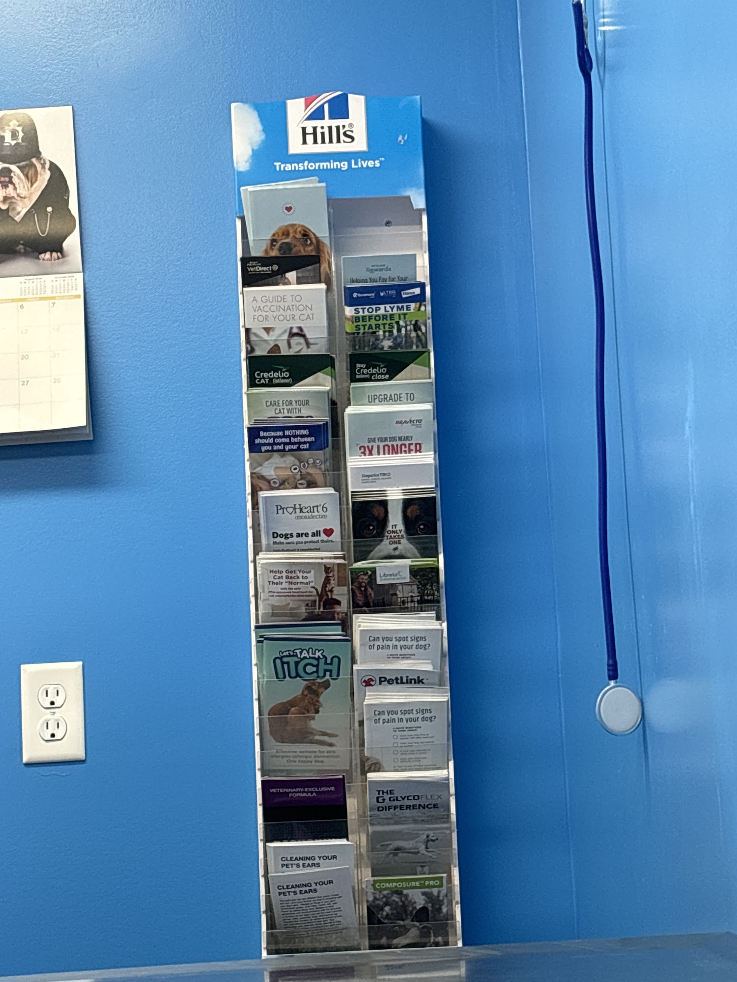 Clayview Animal Clinic South Bend