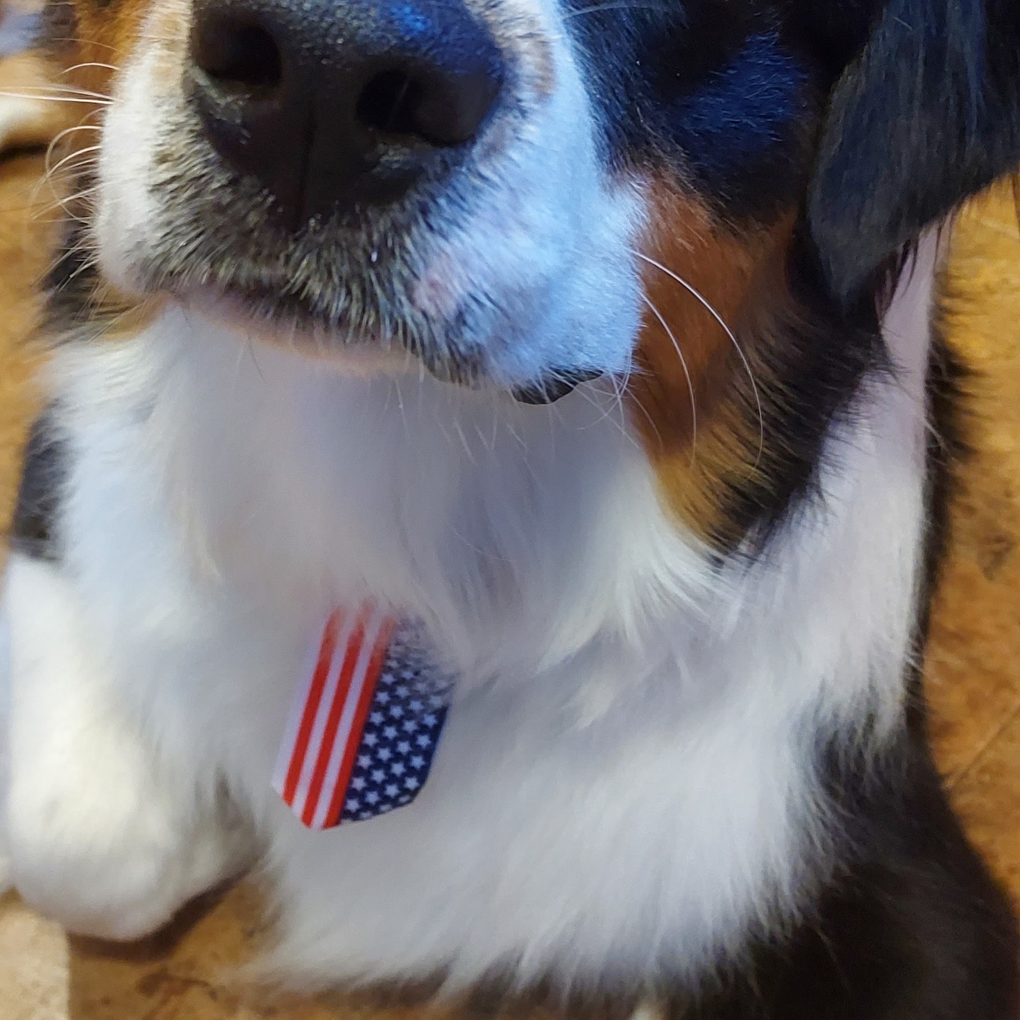 Country Grooming LLC