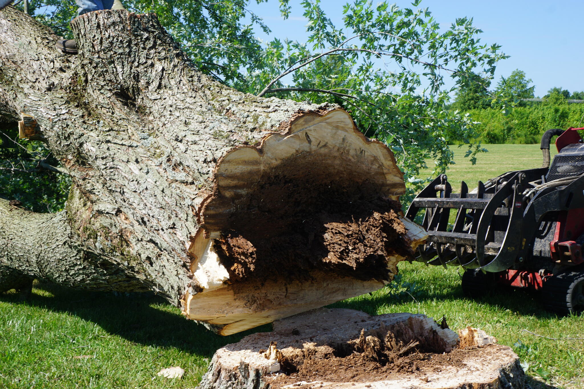 Photo credit: nextdoor