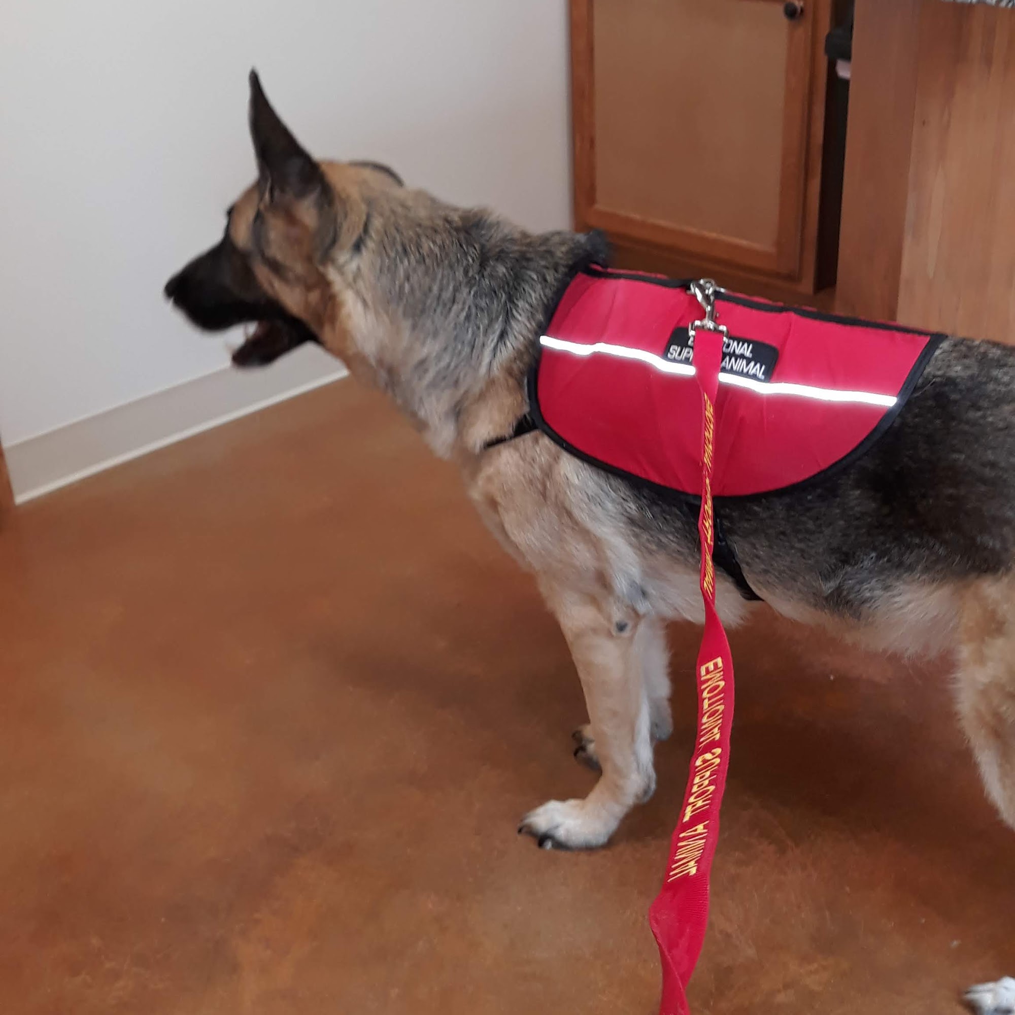 Perry County Animal Hospital Tell City