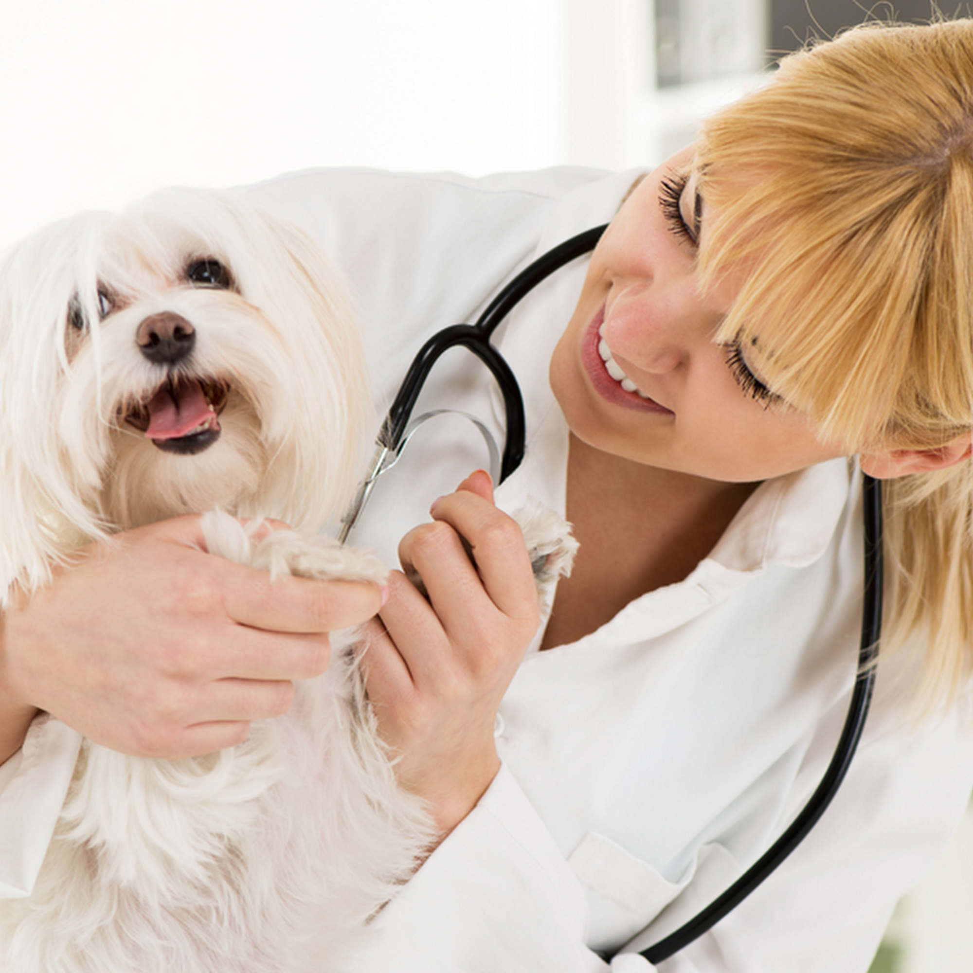 The Cross Clinic Terre Haute