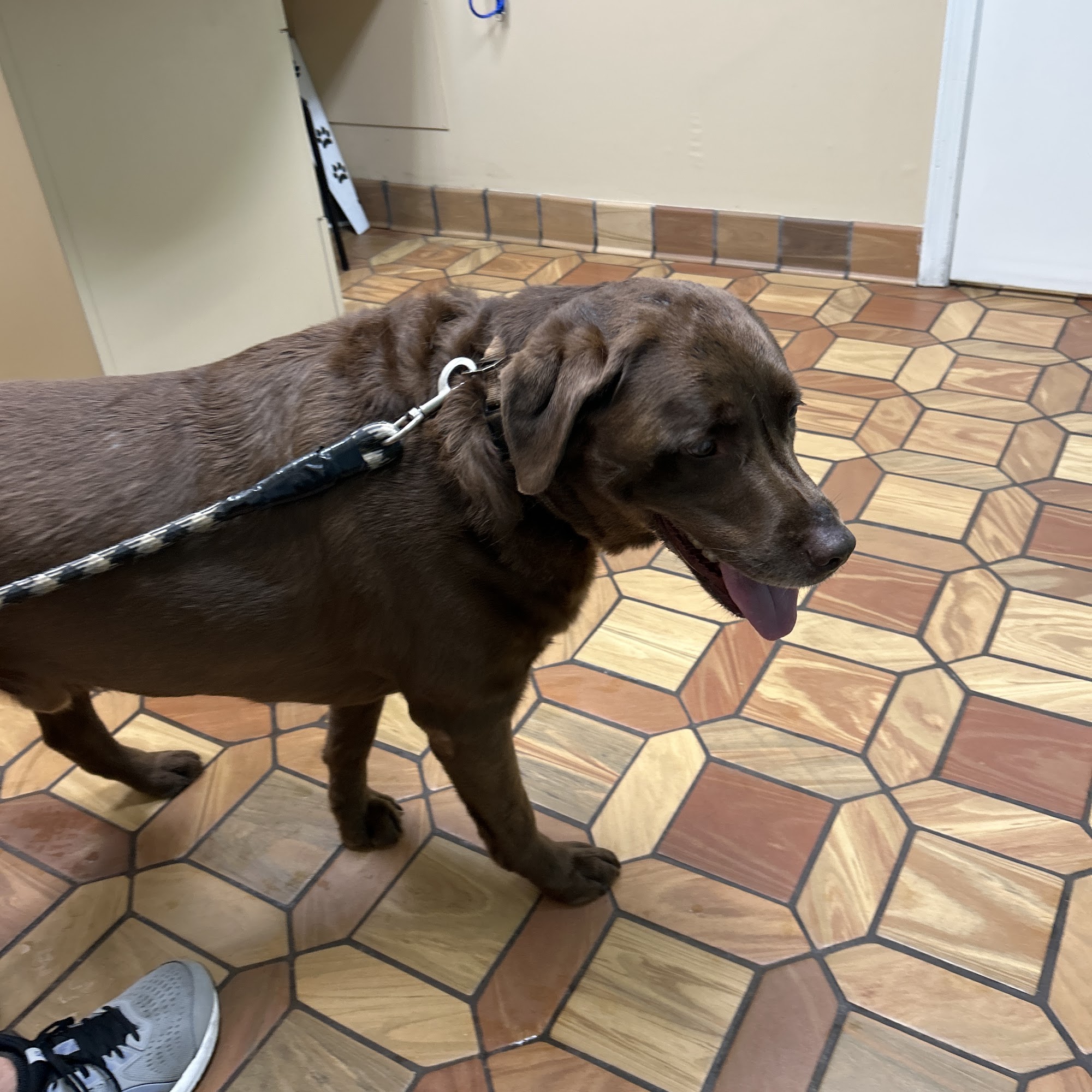 South Heritage Animal Hospital Terre Haute