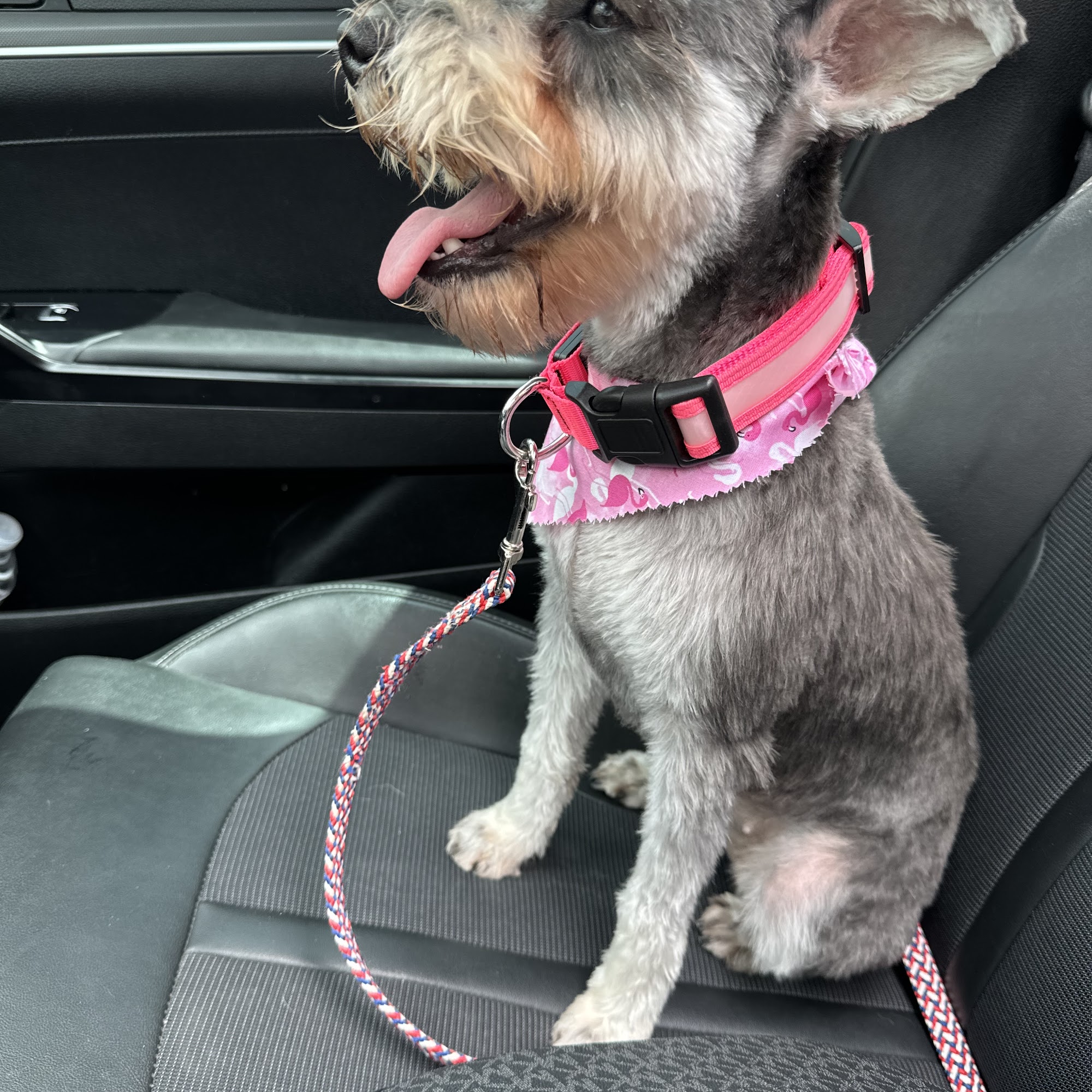 All Seasons Spa & Grooming, LLC Terre Haute