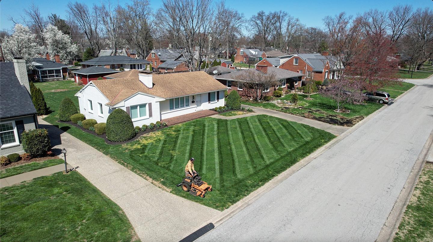Mikes Lawn Care and Yard Services