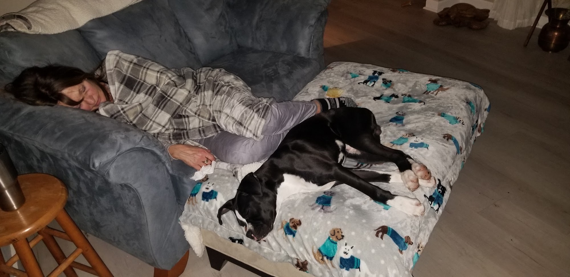 Gast Animal Hospital Valparaiso