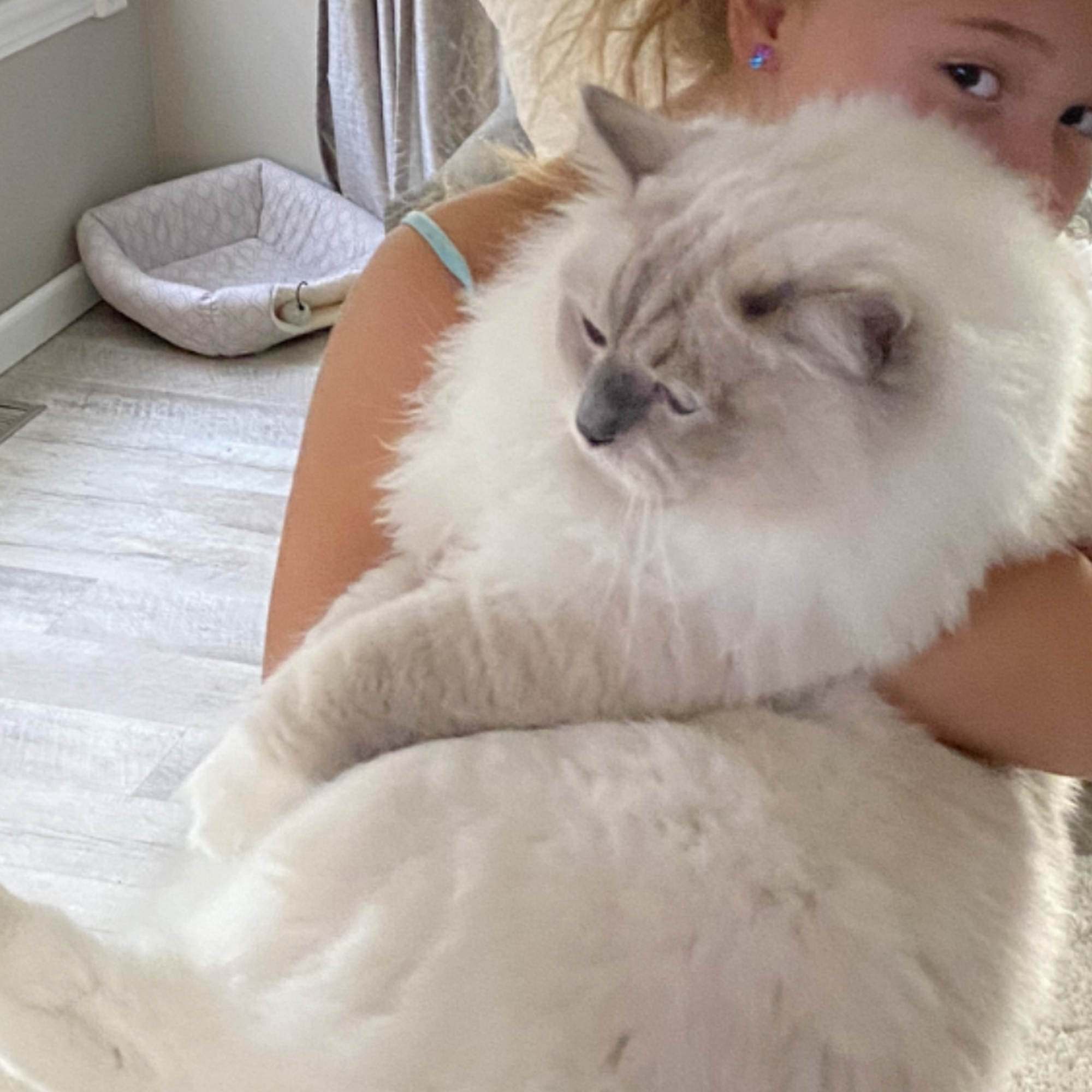 Morthland Animal Clinic Valparaiso