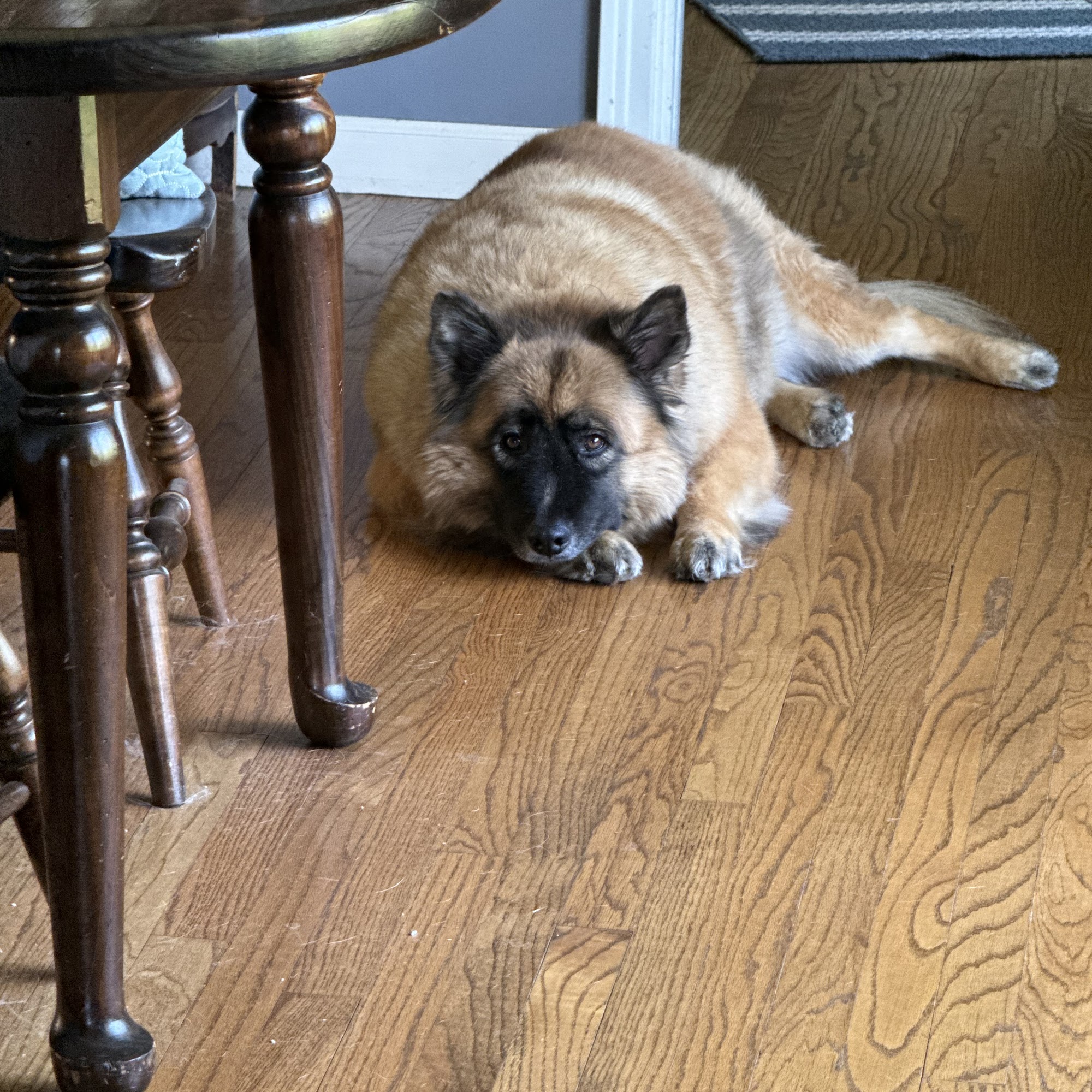 Dr. Christopher Keeley Valparaiso