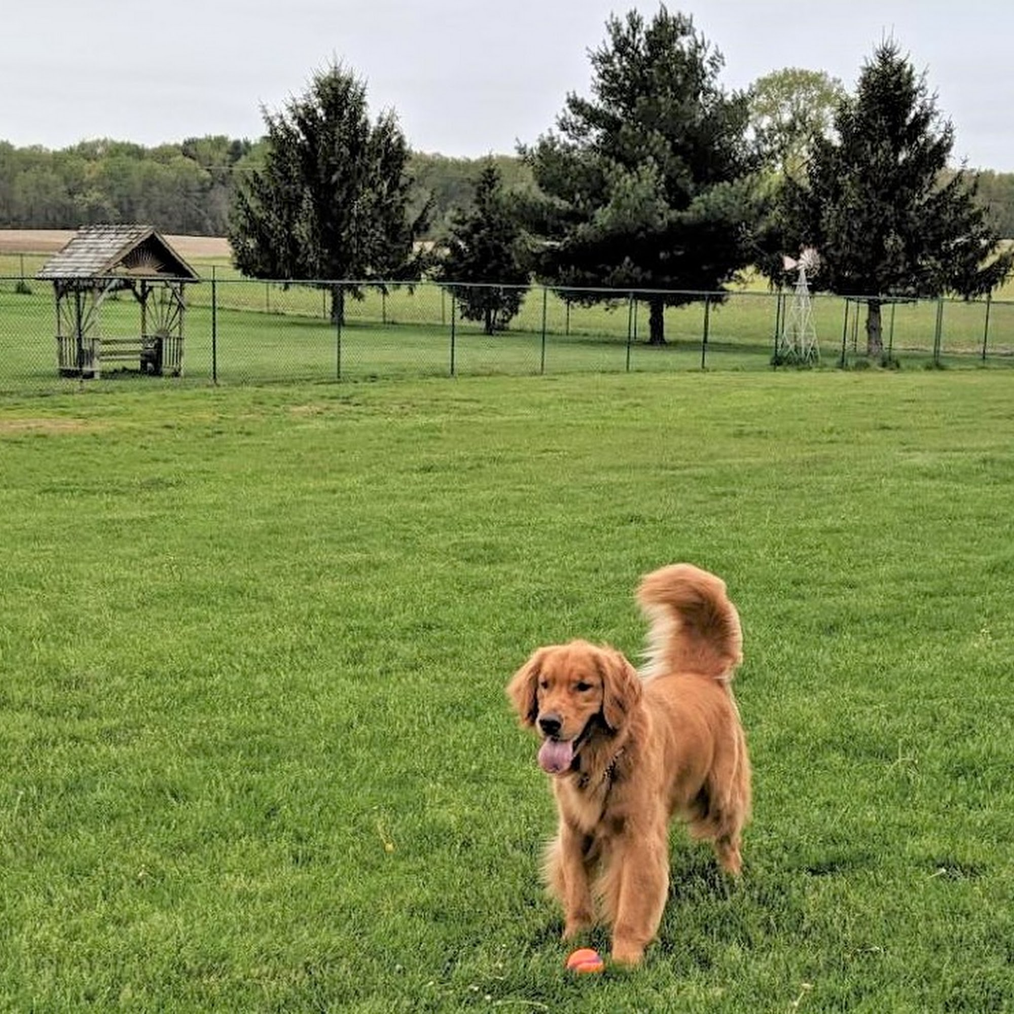 Royal Acres Country Club Valparaiso