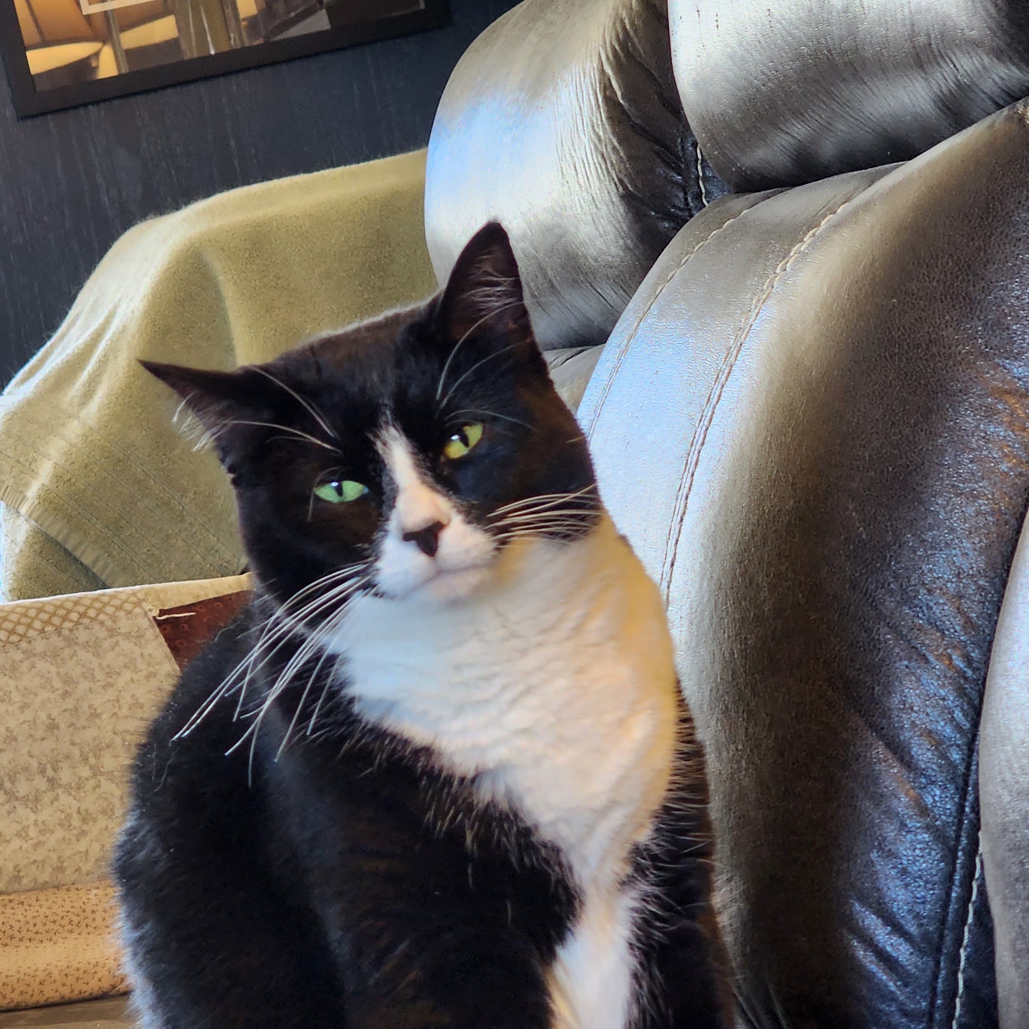 Wabash Veterinary Hospital Wabash