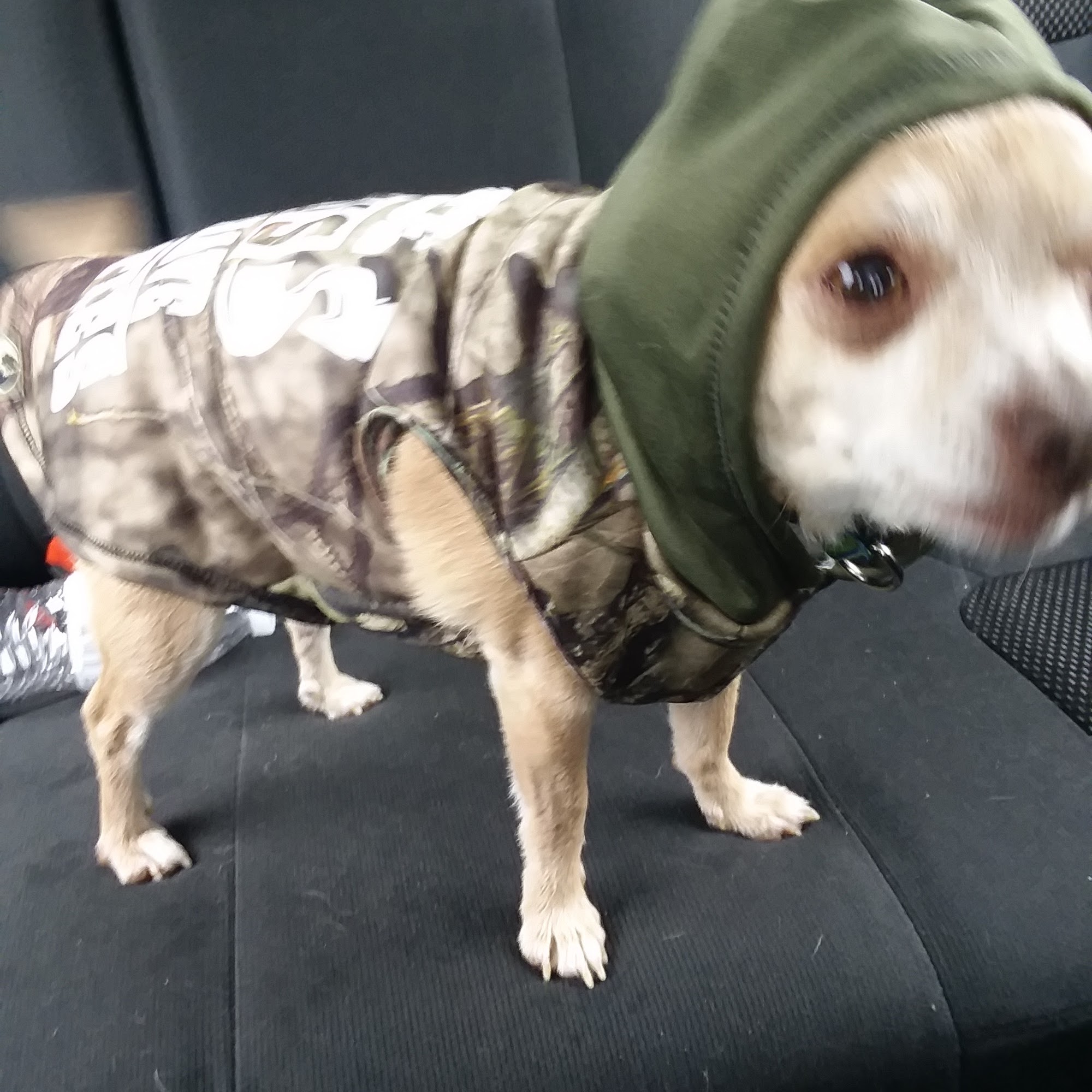 Dr Weldys Associates Inc Wakarusa