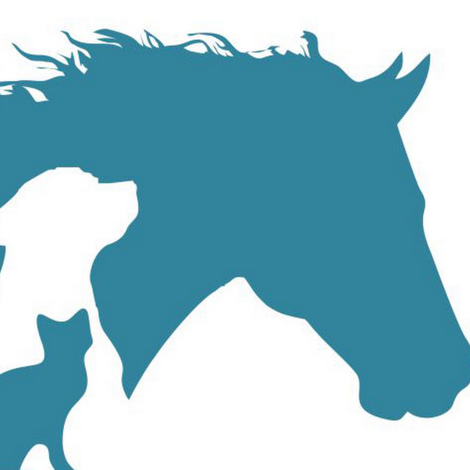 Cumback Veterinary Services Washington