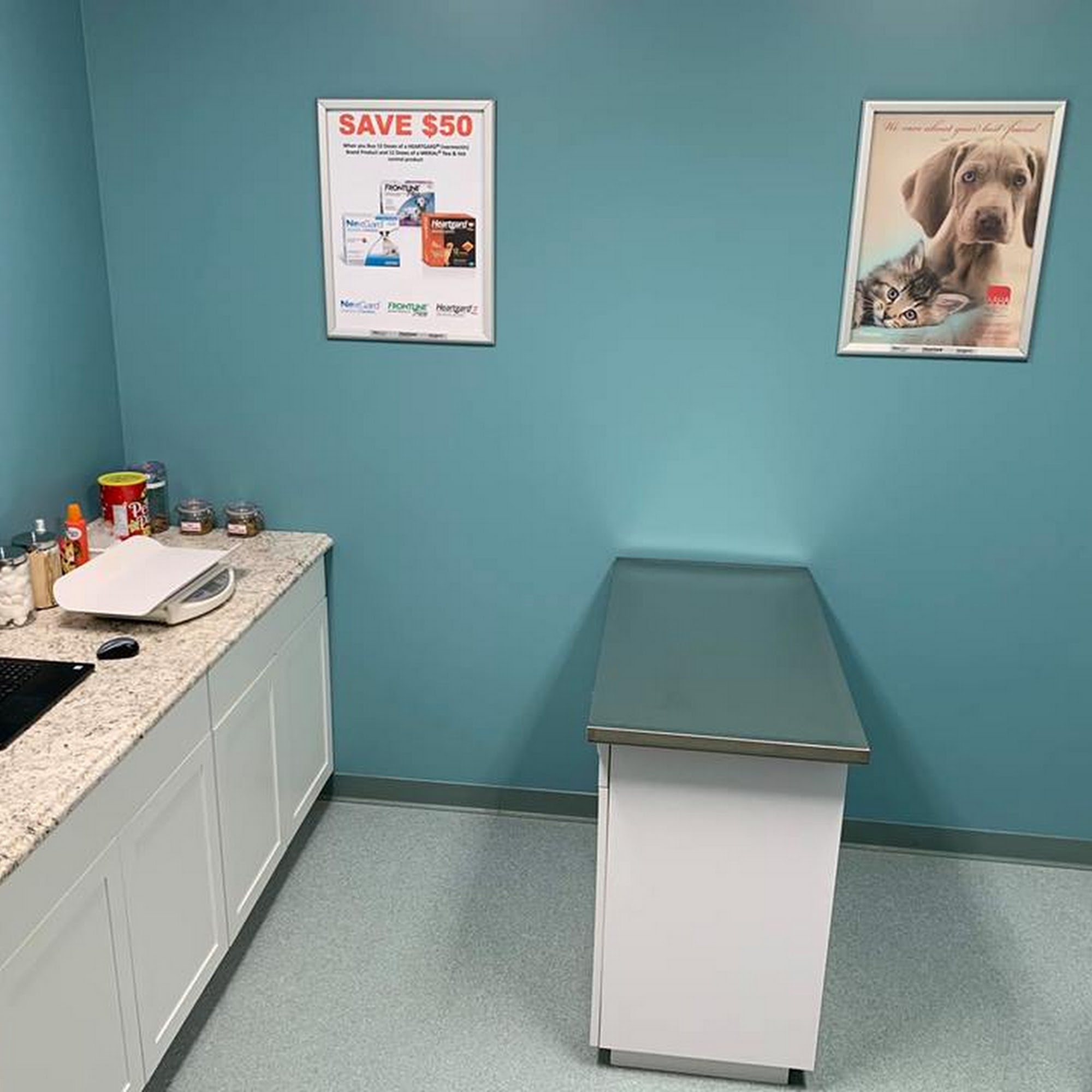 Pets and Vets as Partners West Lafayette