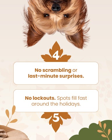 Pooch Palace Resort - West Lafayette West Lafayette