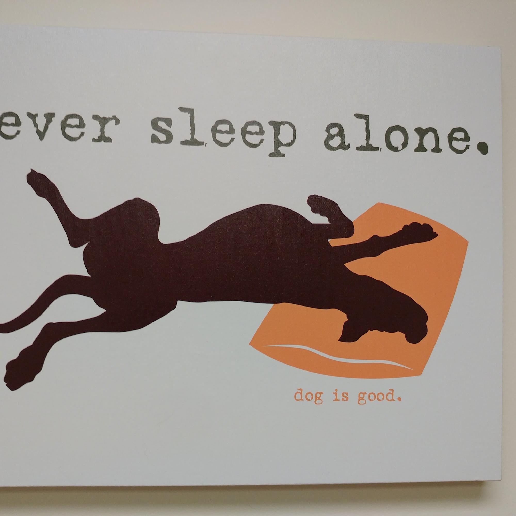 Westfield Veterinary Care Westfield