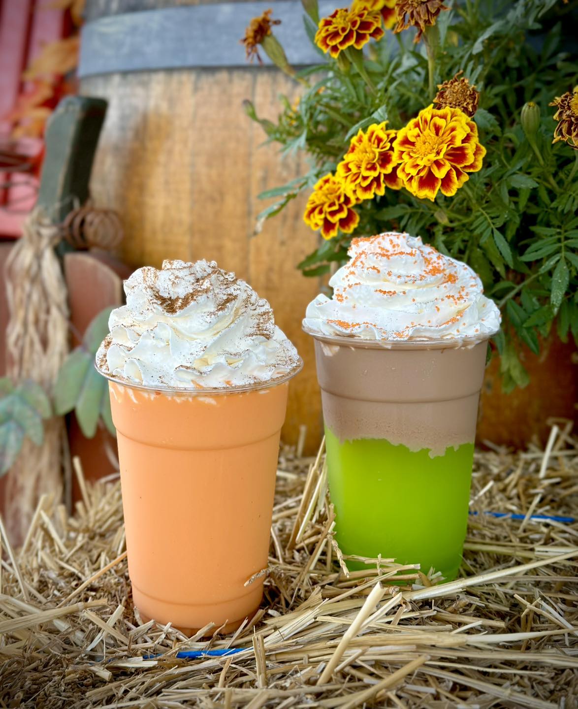 Urban Vines Winery & Brewery Westfield