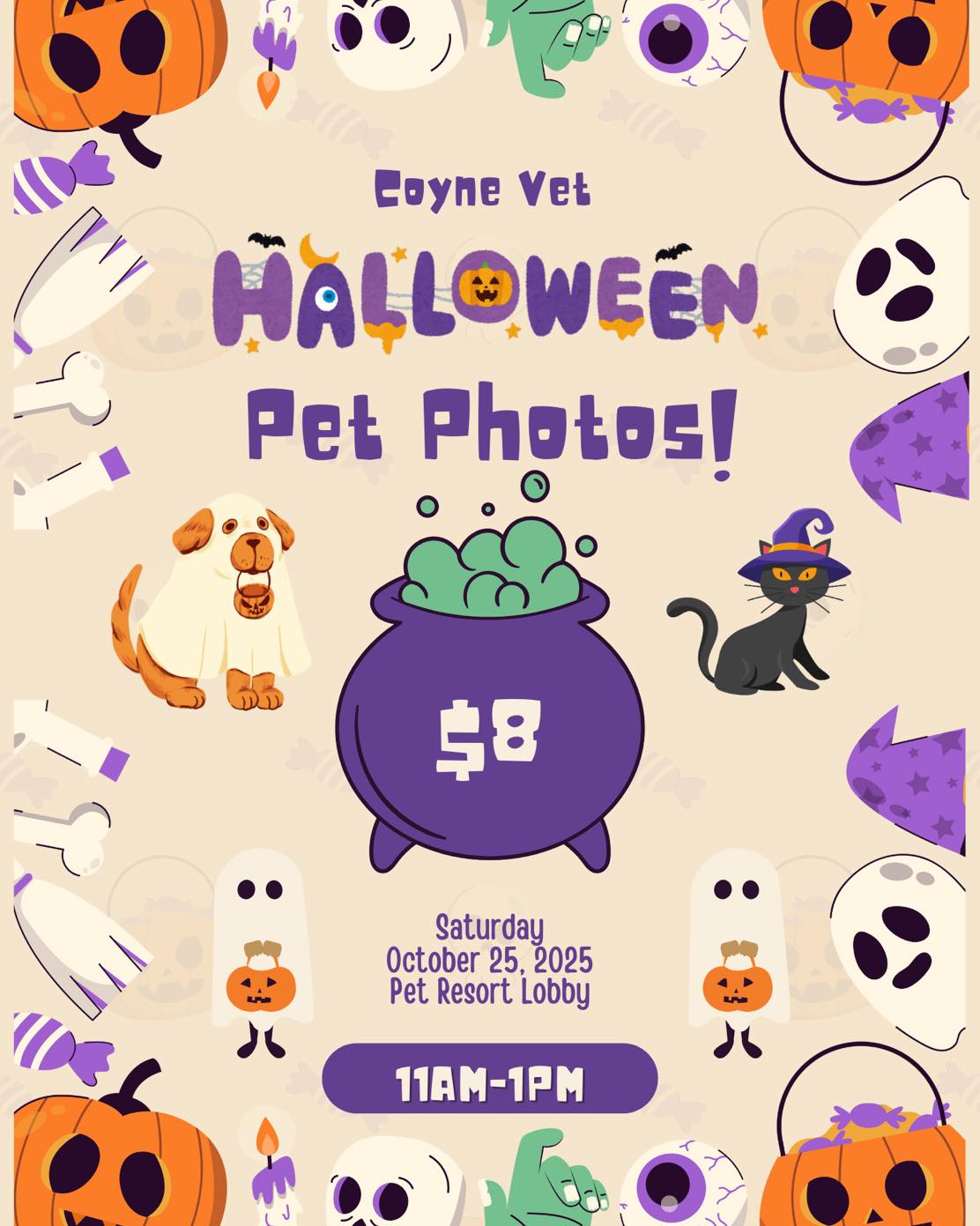 Coyne Veterinary Center Westfield Westfield