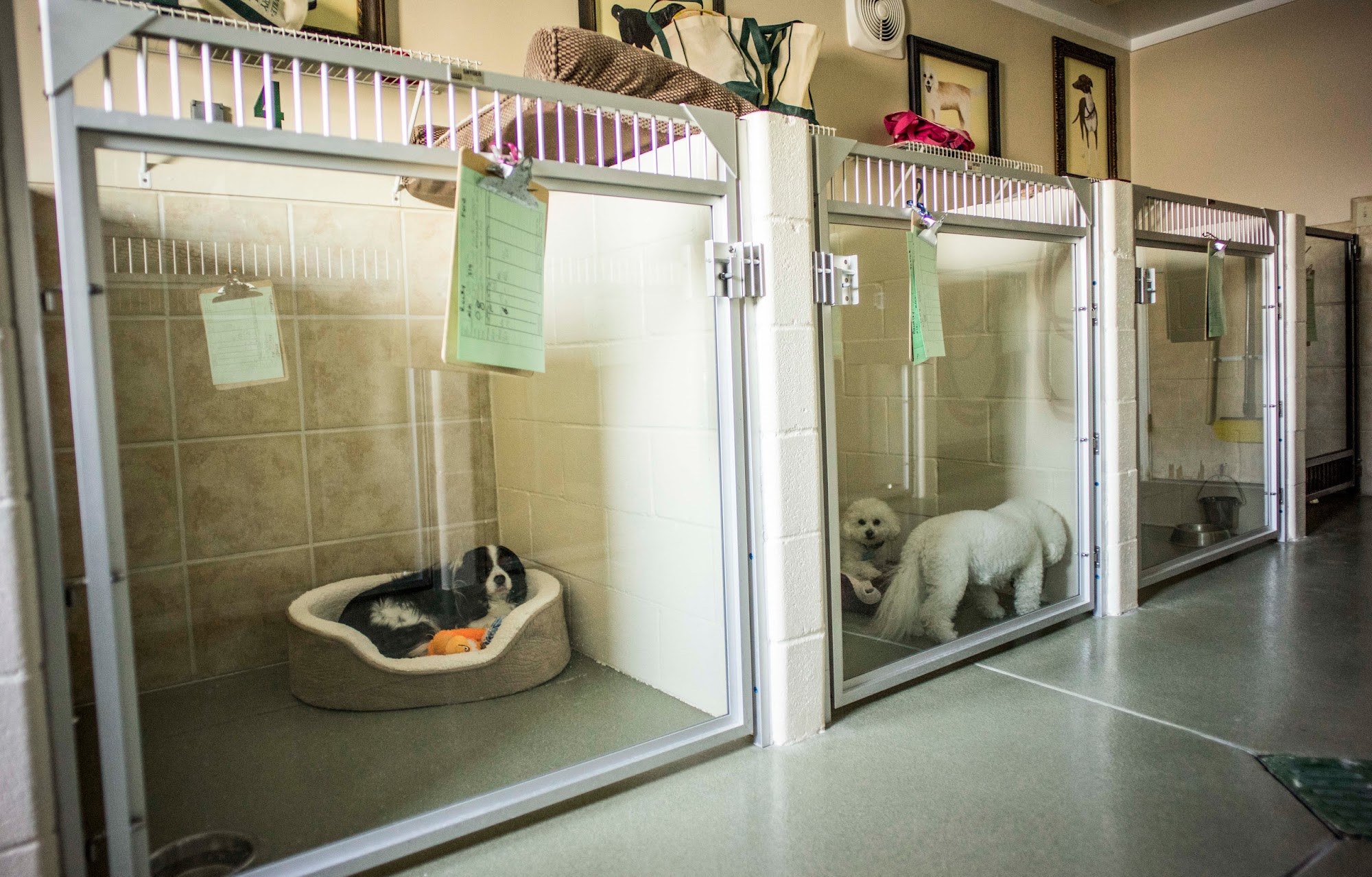 Zionsville Country Kennel Whitestown