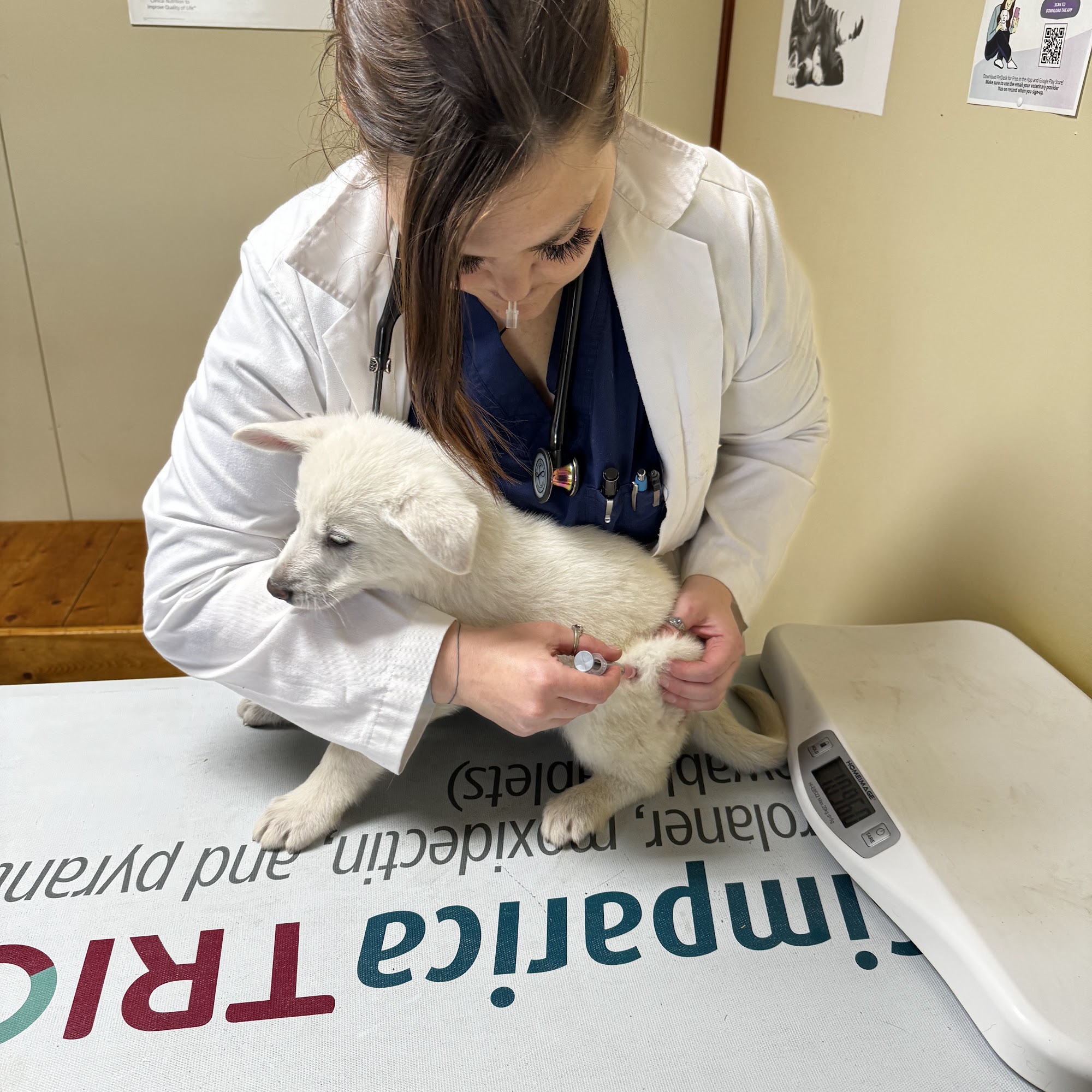 Davis Veterinary Service, PC Winamac