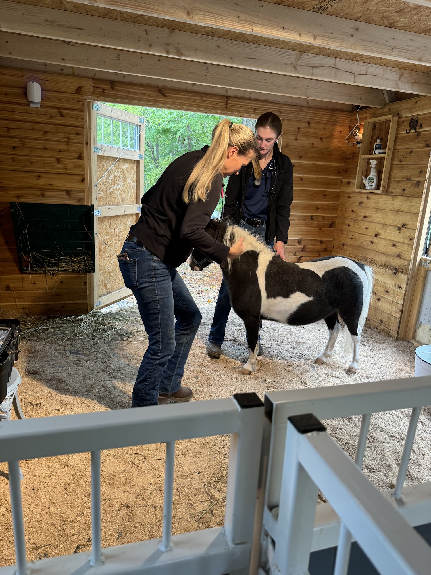 McDavitt Veterinary Clinic LLC Zionsville