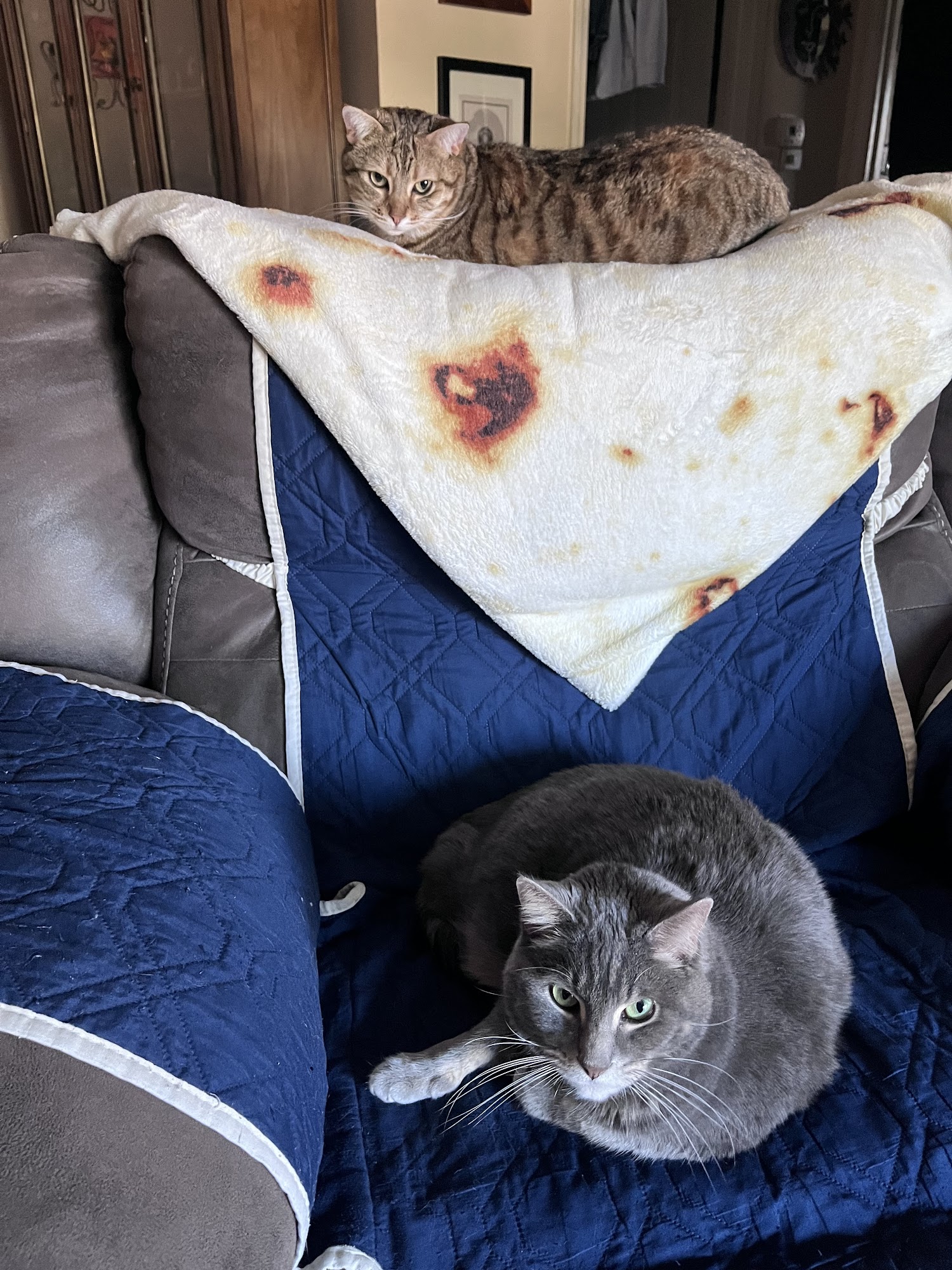 Community Pet Healthcare Zionsville