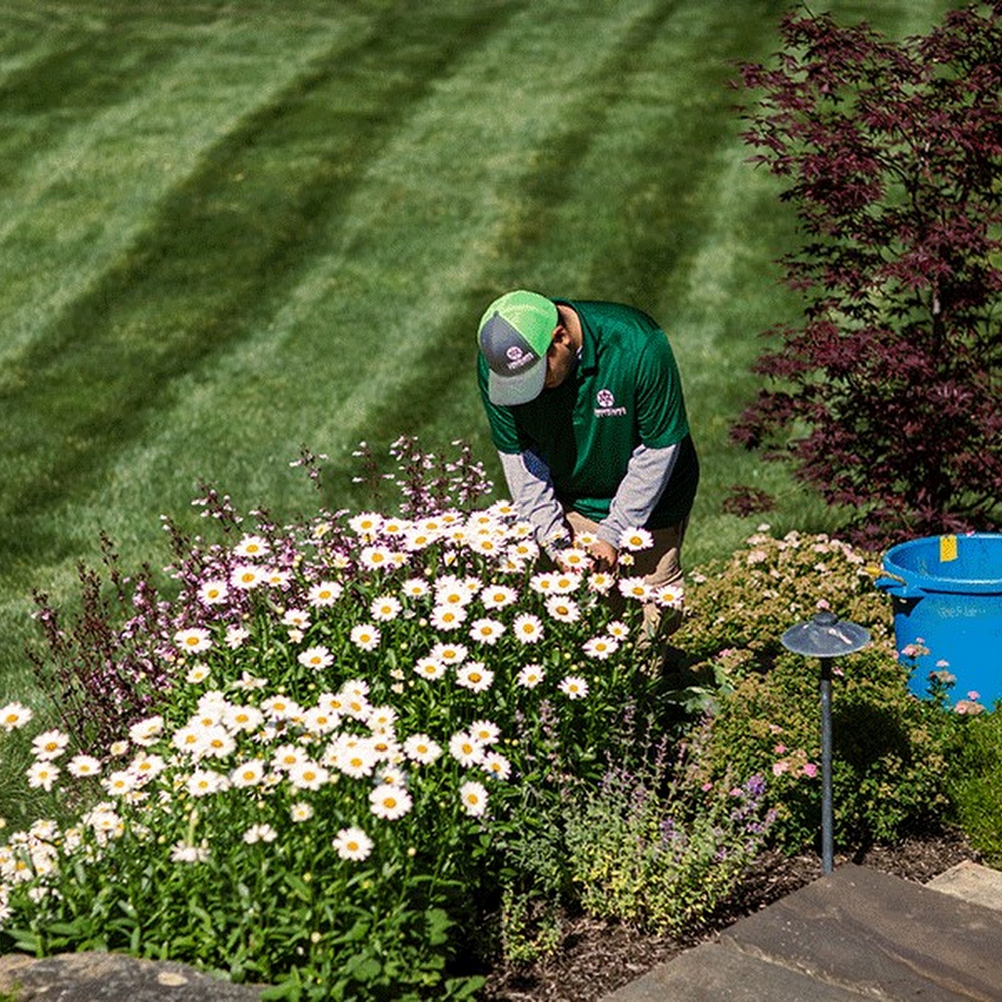 Landscapes Unlimited