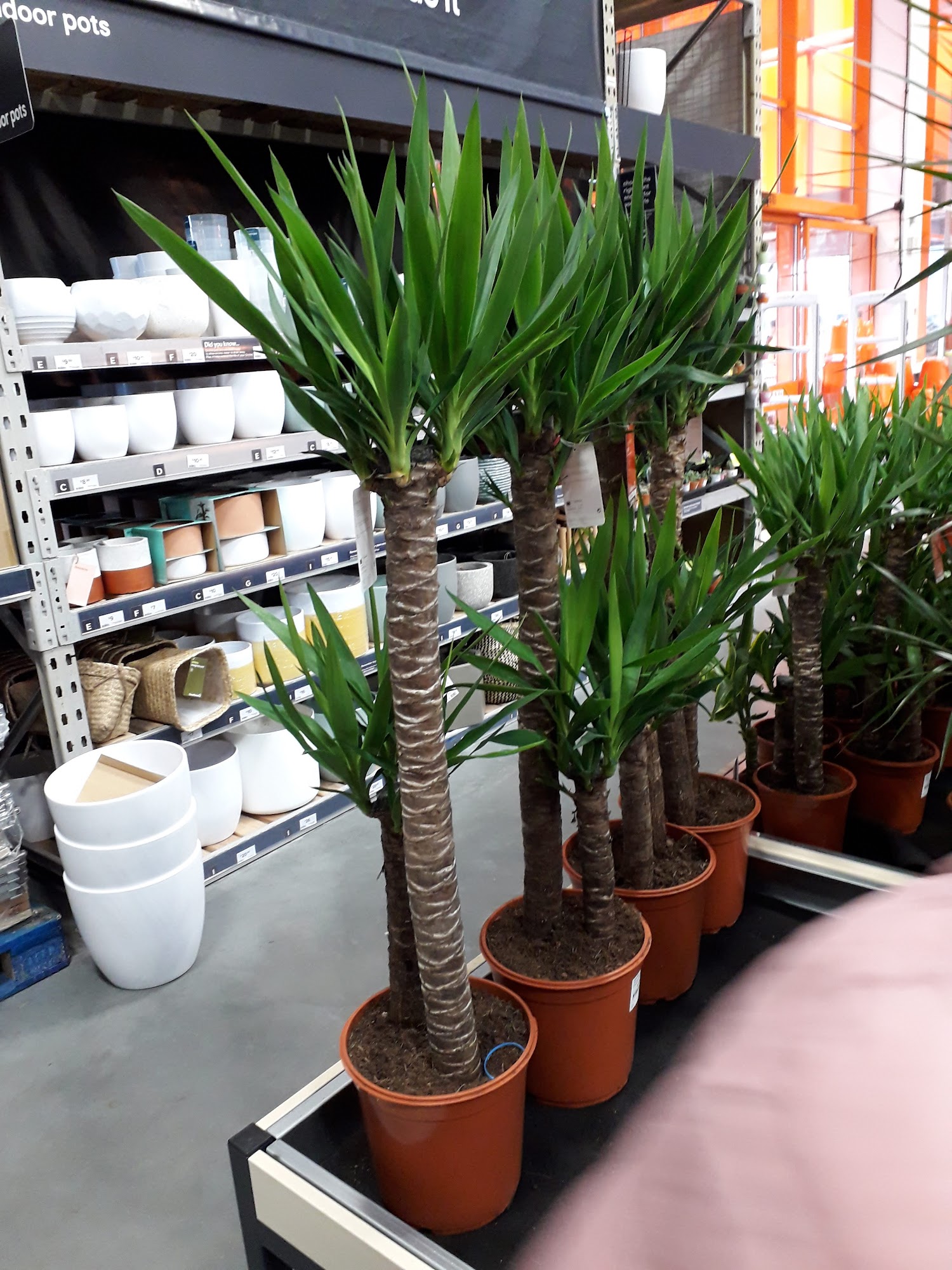 B&Q Ashford